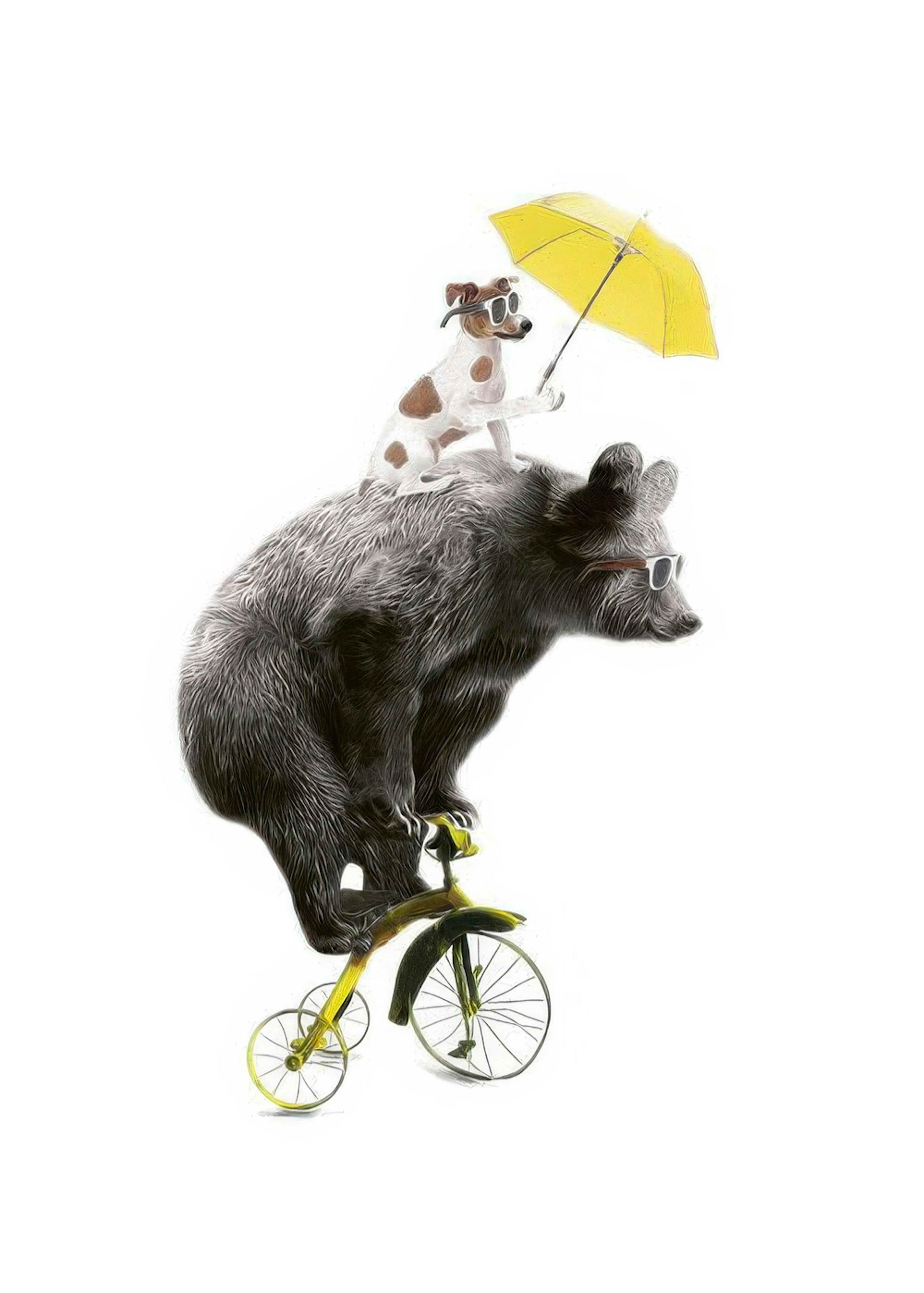 Bear On Yellow Bike, Plakat 0