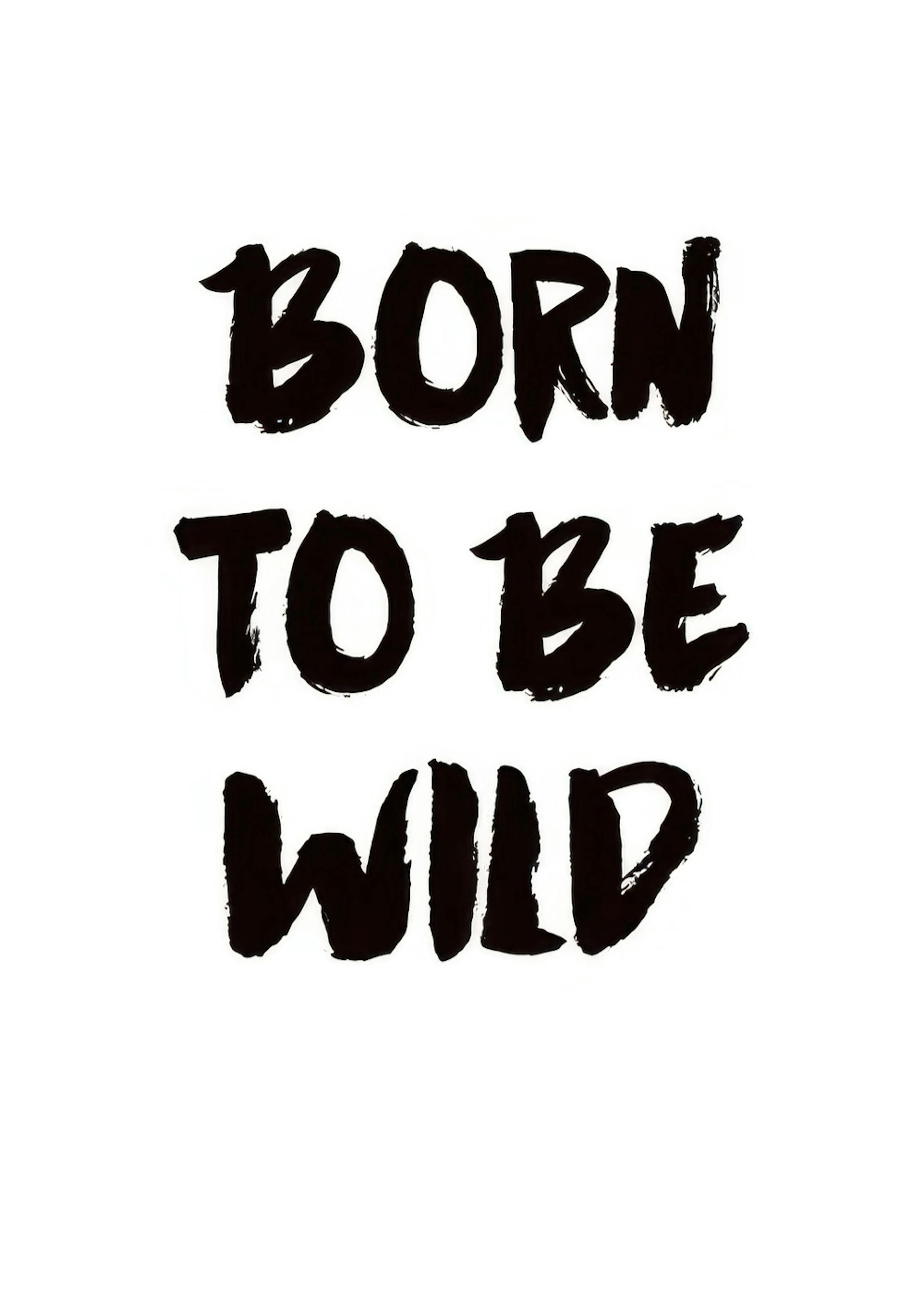 Born To Be Wild, Poster 0