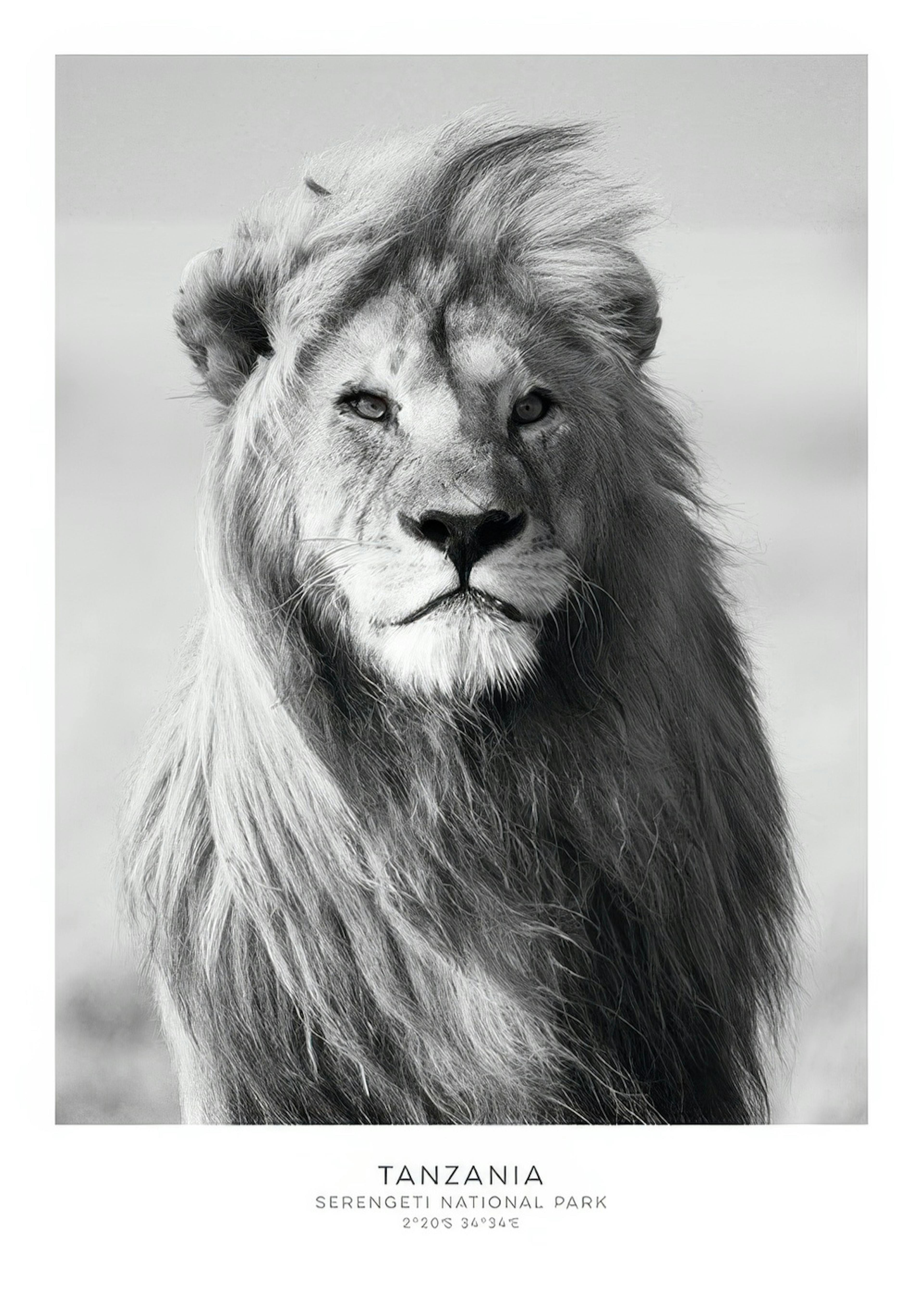 Lion, Prints 0