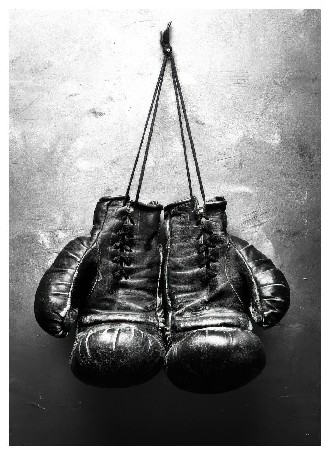 Boxer, Posters (21x30 cm) - Zwart wit posters