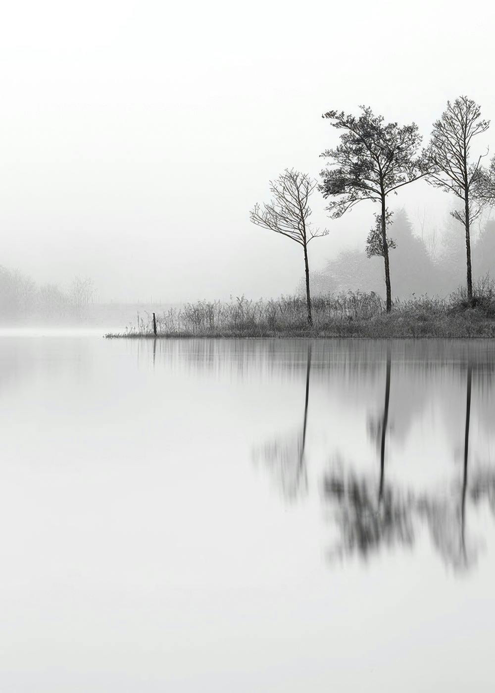 Lake, Plakat 0