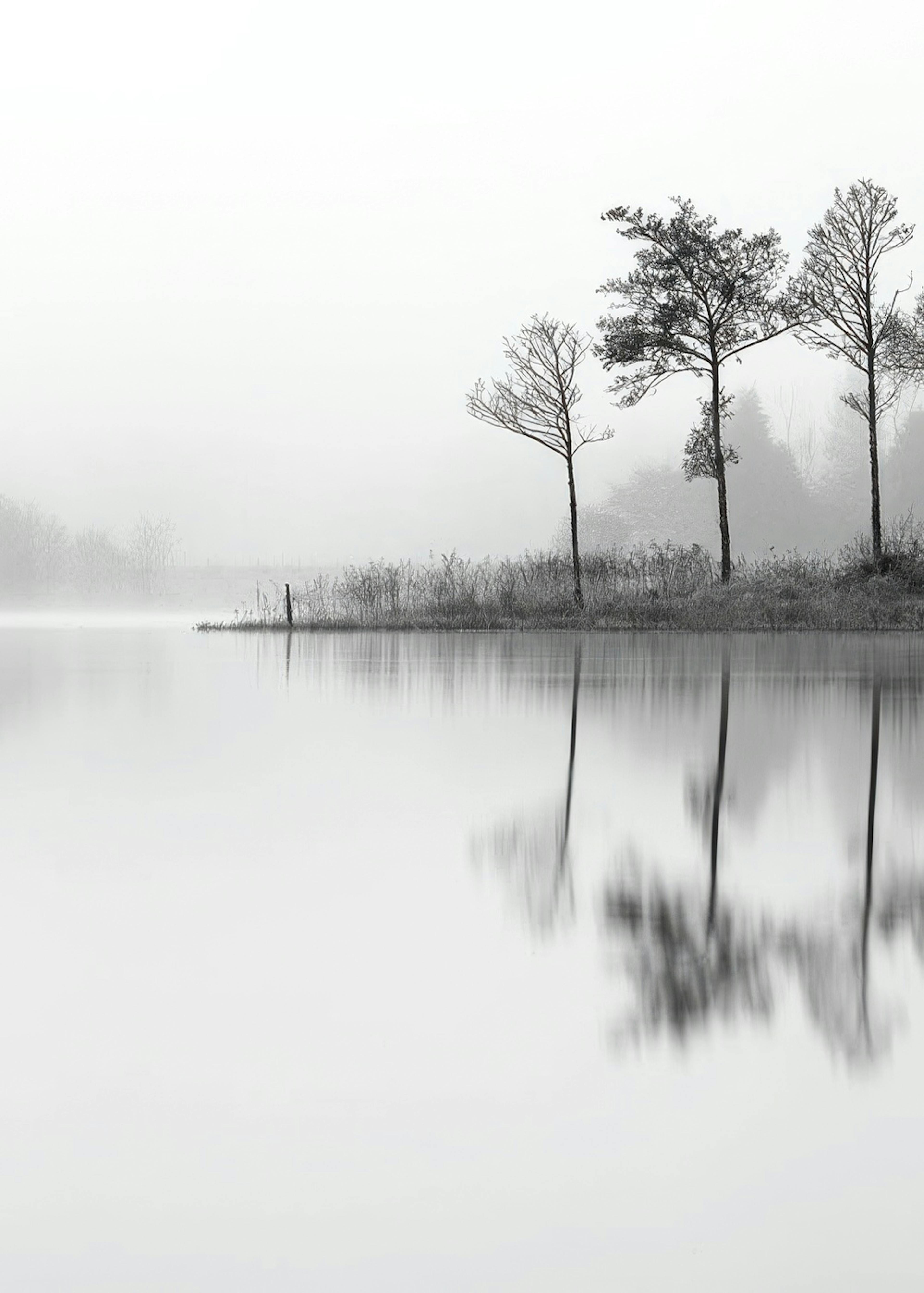 Lake, Juliste 0