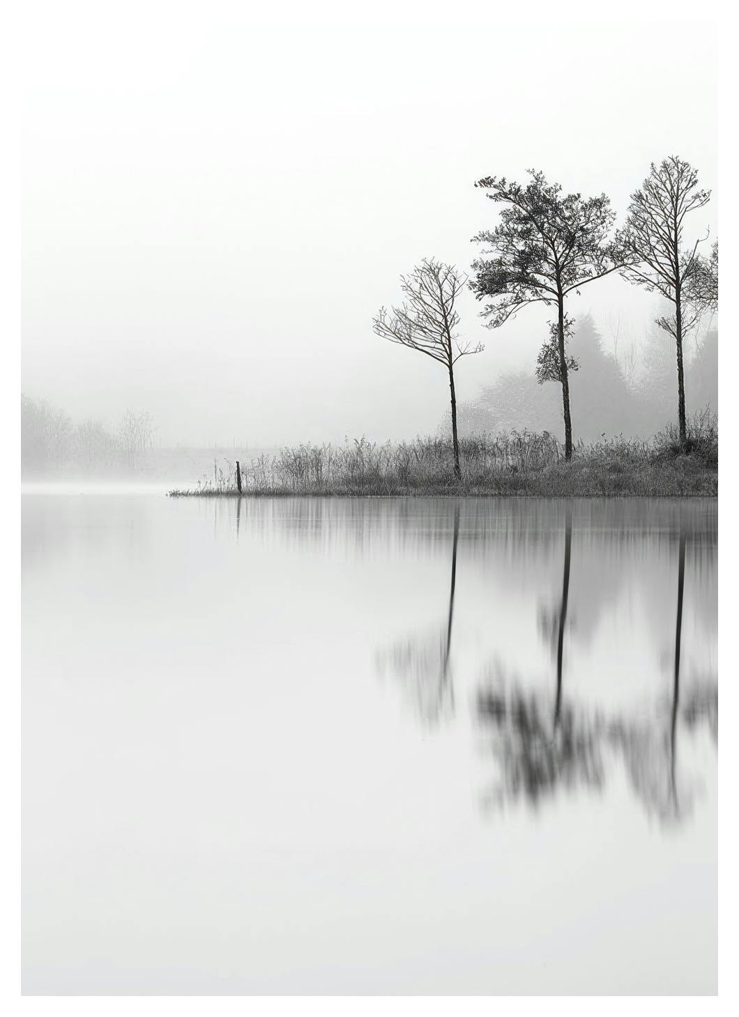 Lake, Plakat (21x30 cm) - Plakater > Svarthvitt plakater