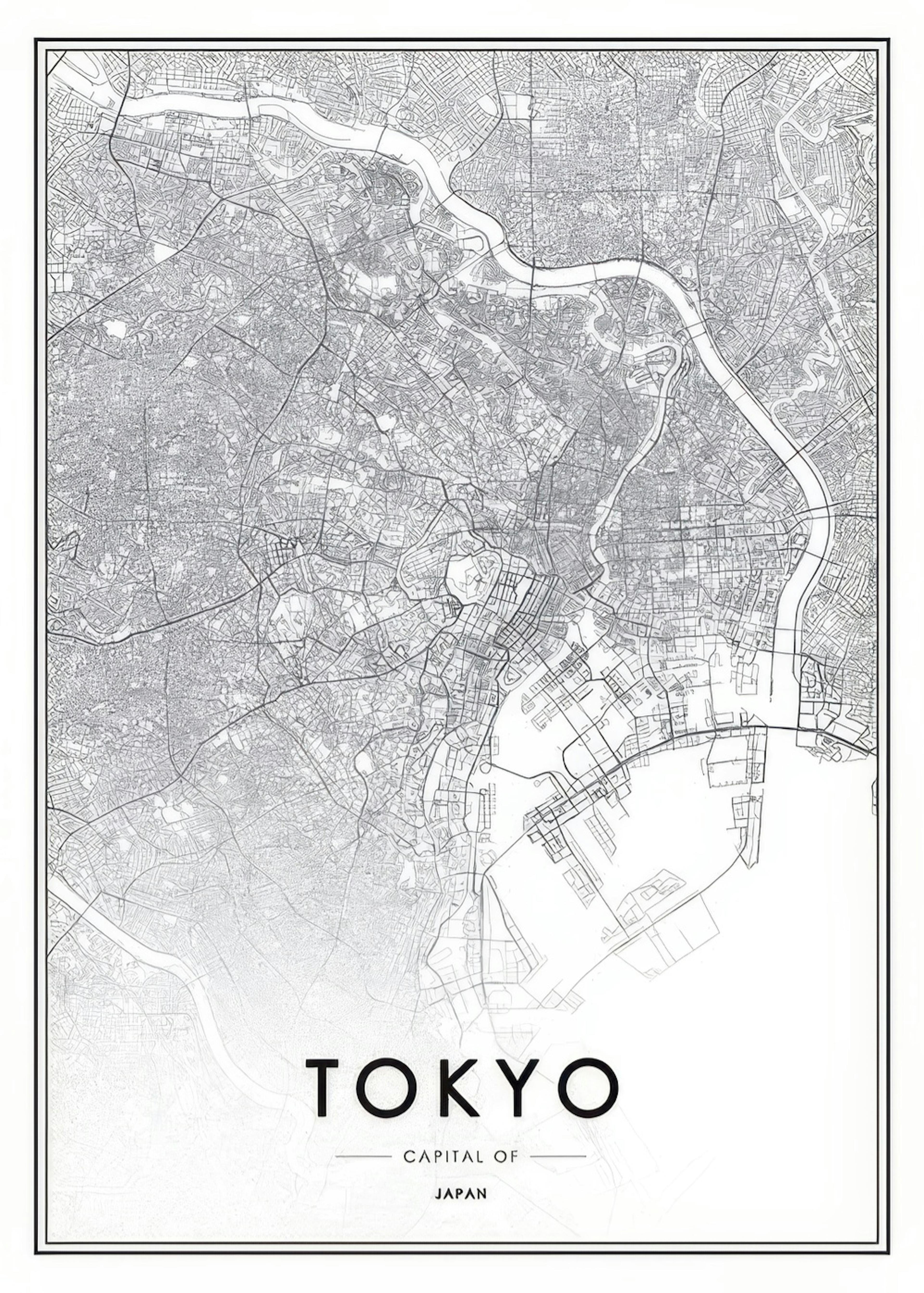 Tokyo, Affiche 0