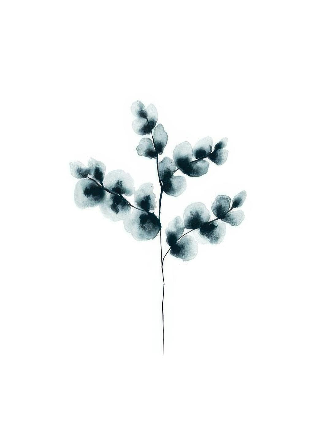 Prints - Cotton Plant Blue, Print (50x70 cm) - Botanical prints