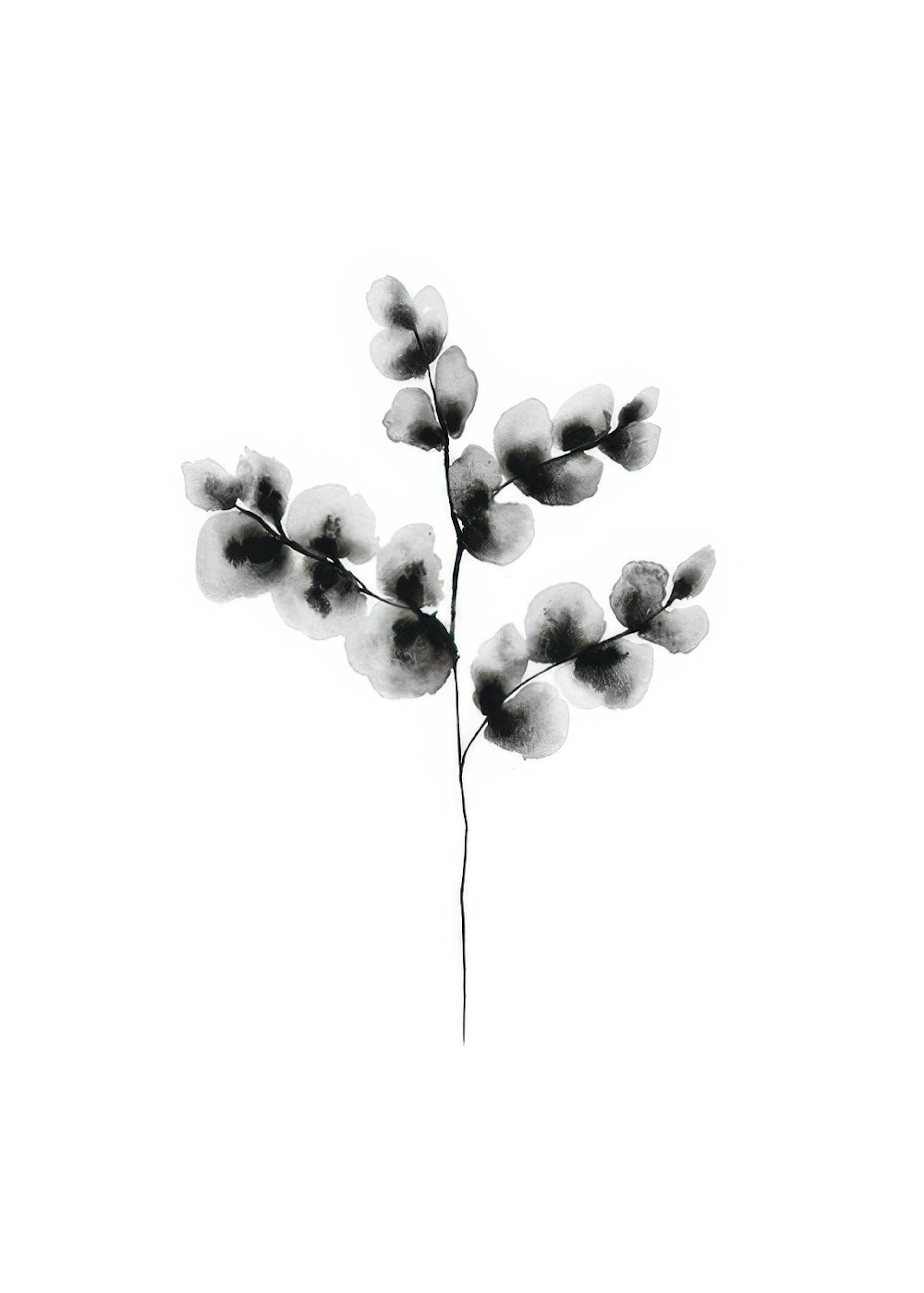 Cotton Plant, Poster 0