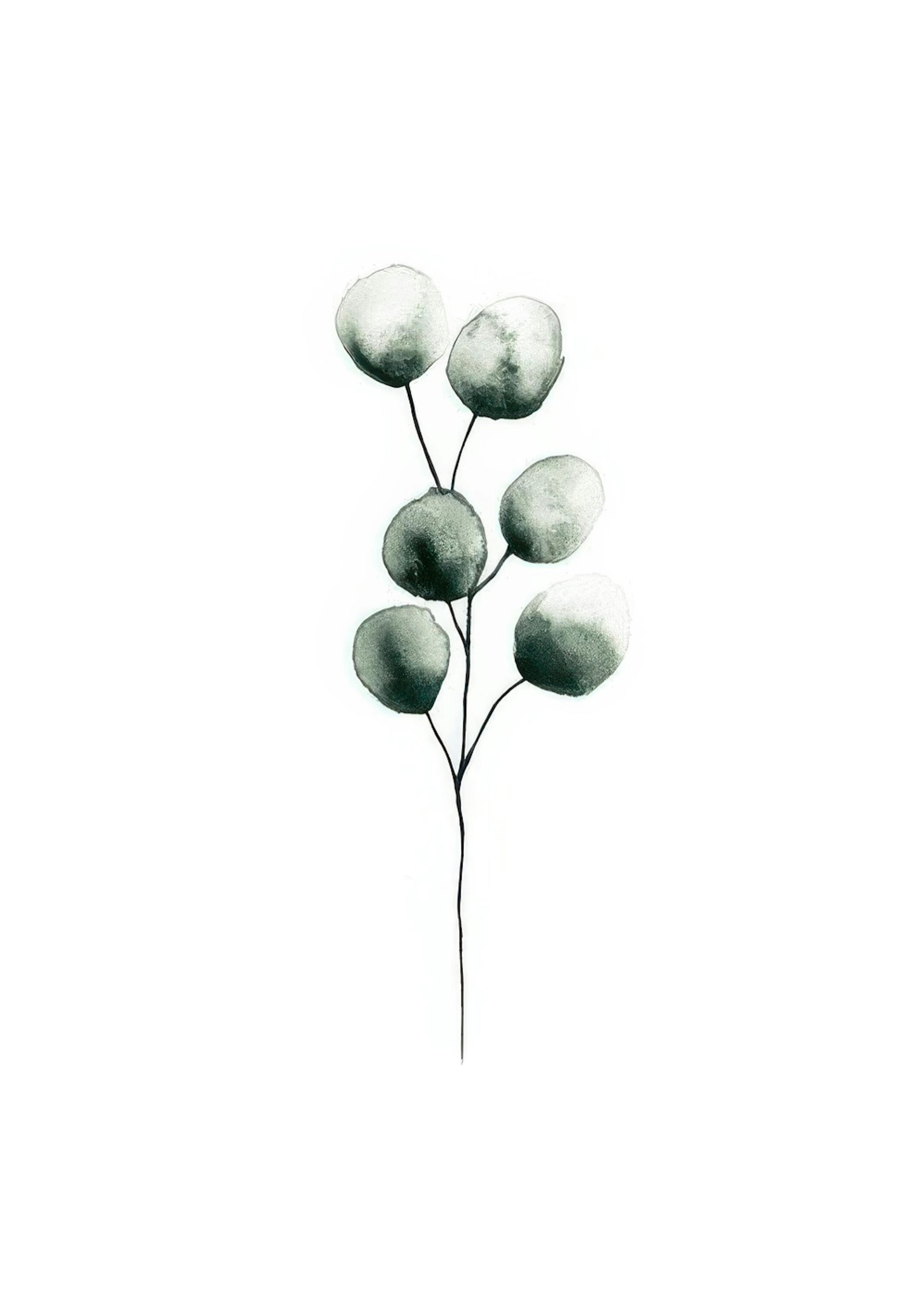Eucalyptus Plant, Poster 0