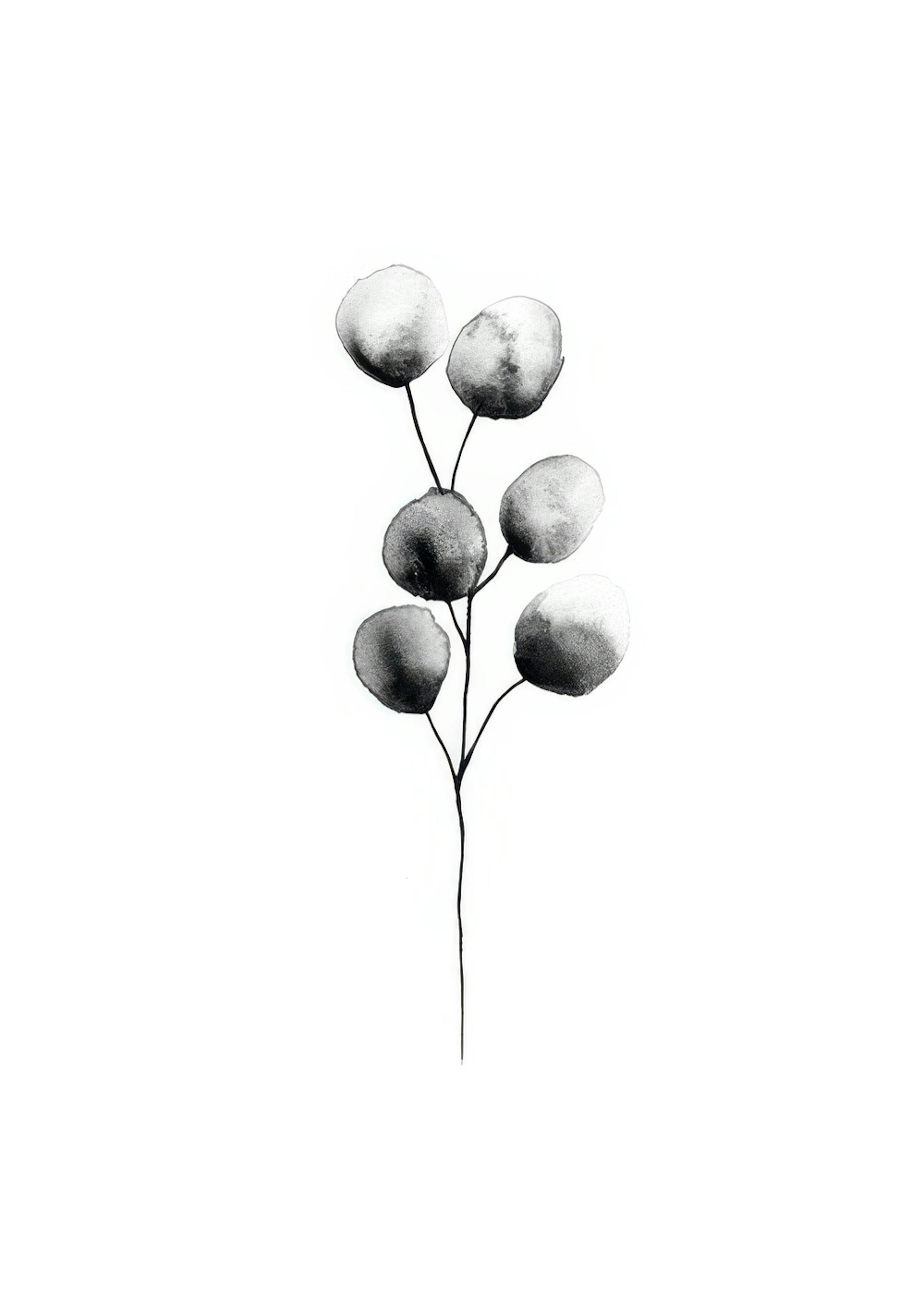 Eucalyptus Plant Black Poster 0