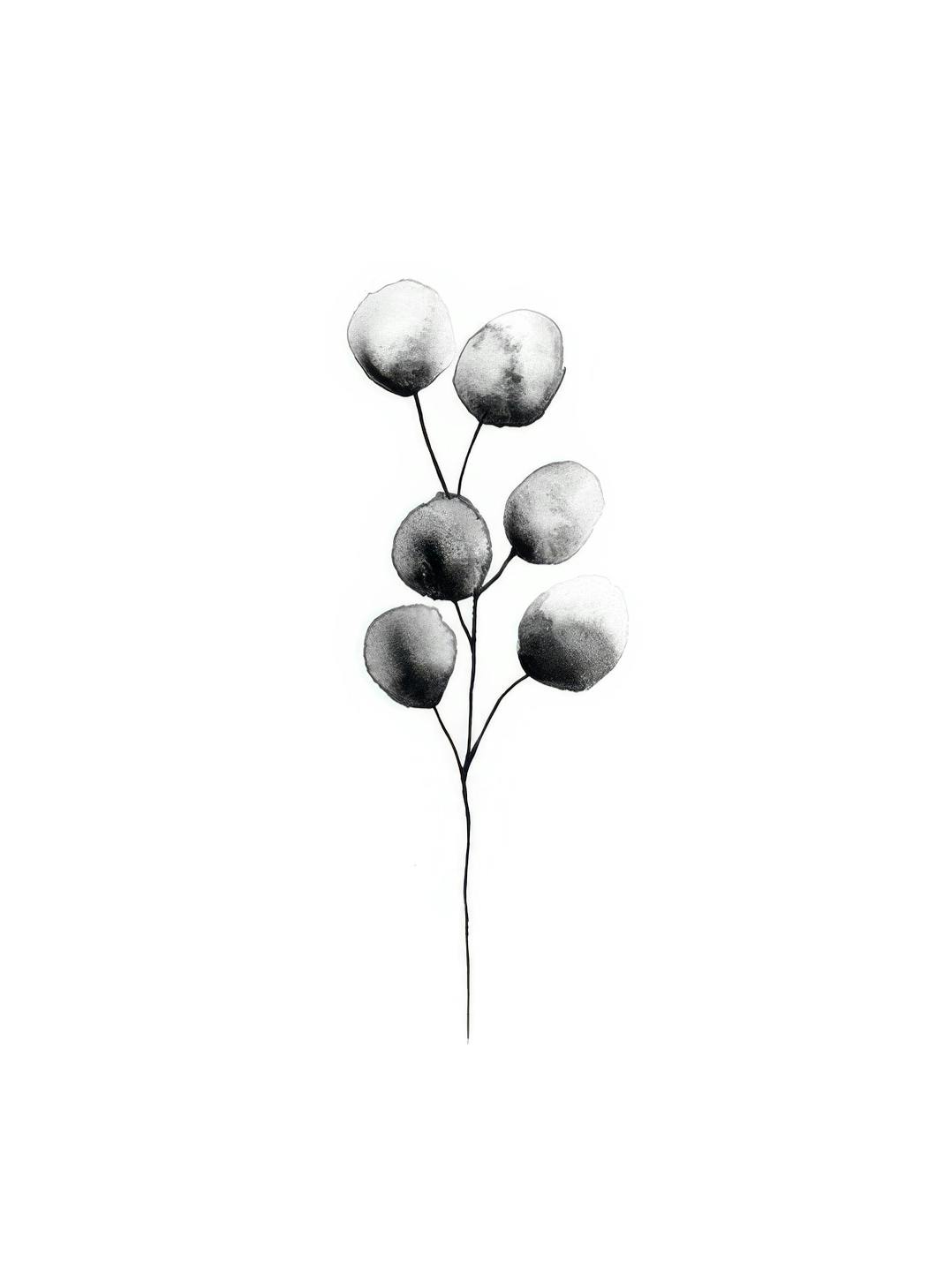 Prints - Eucalyptus Plant Black, Print (13x18 cm) - Art prints