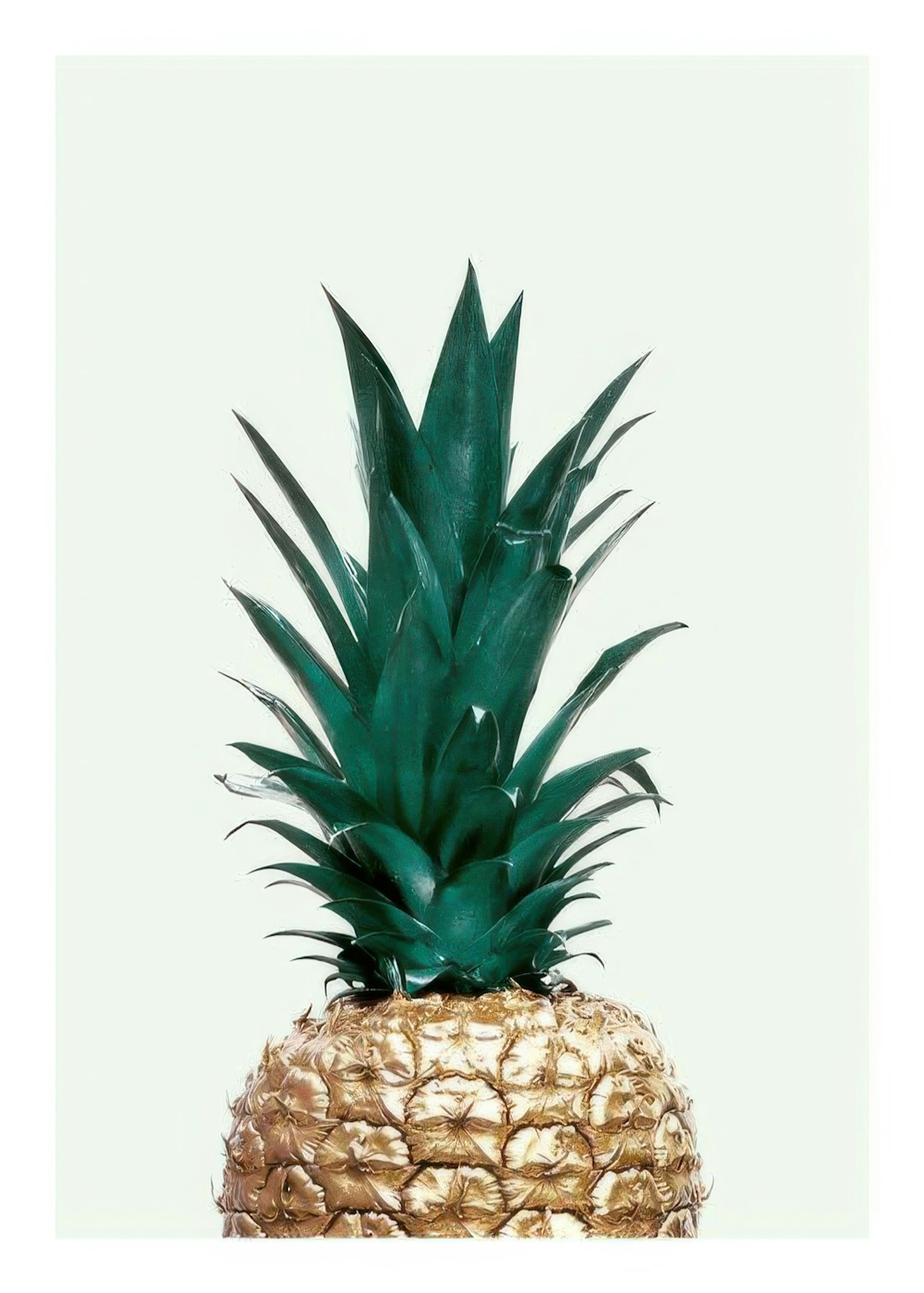 Green Pineapple, Juliste 0