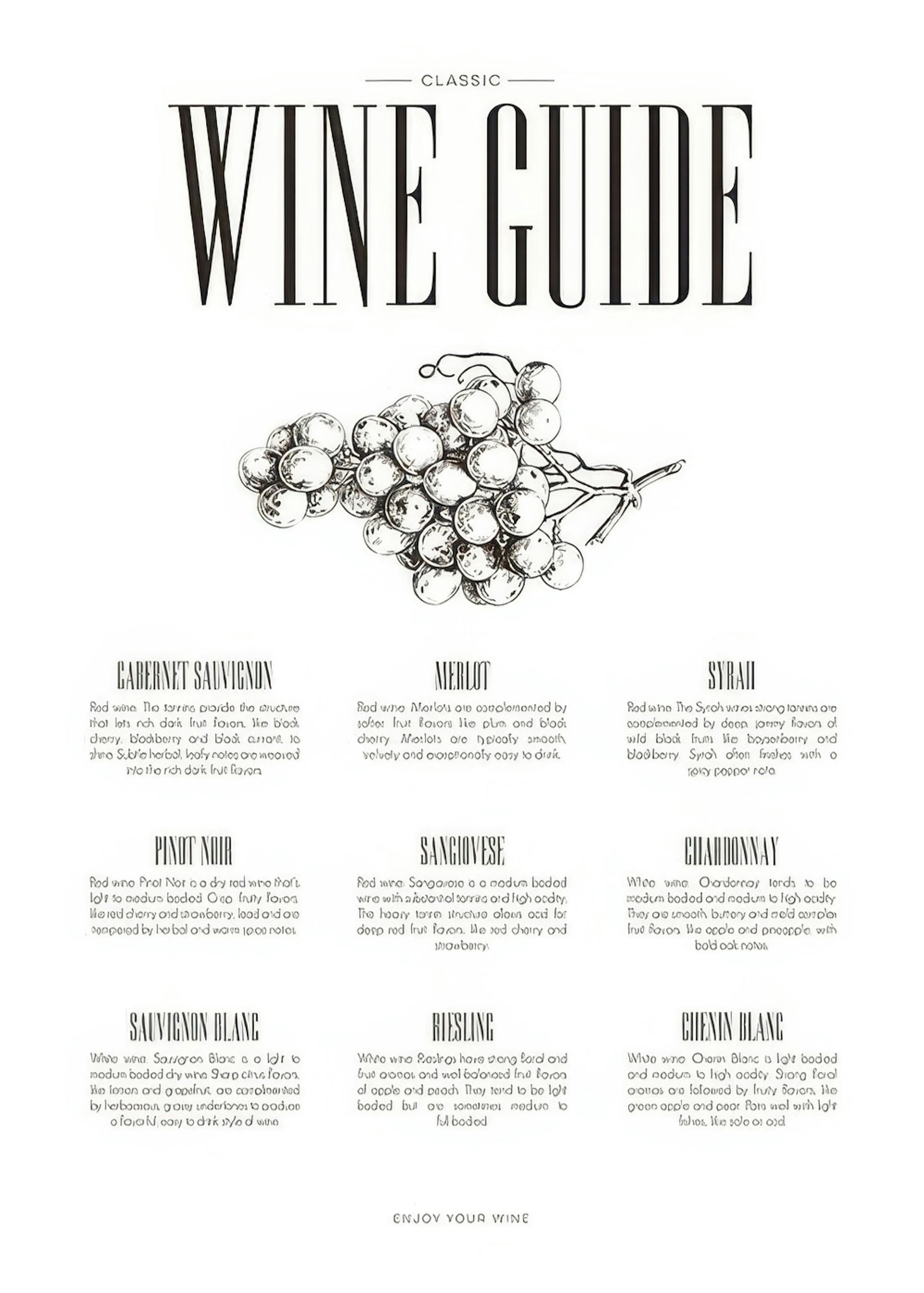 Wine Guide, Poster 0
