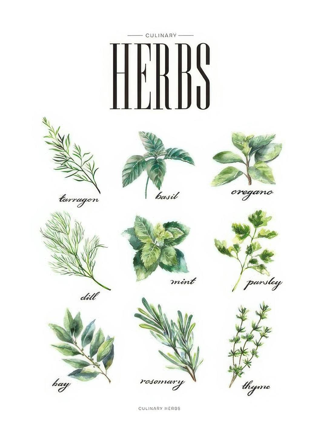 Prints - Herbs Green, Print (30x40 cm) - Kitchen wall art