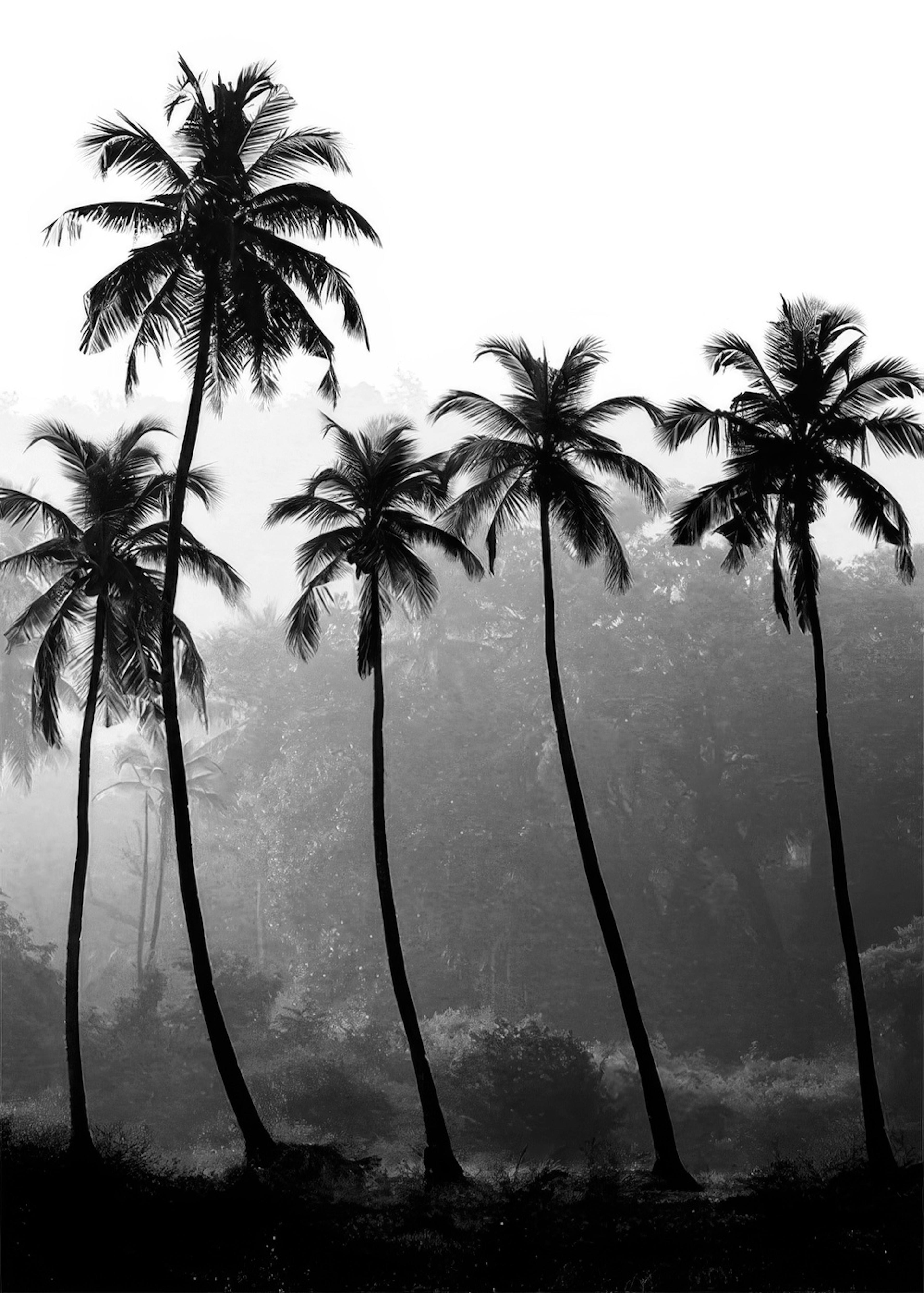 Palm Trees, Poster 0