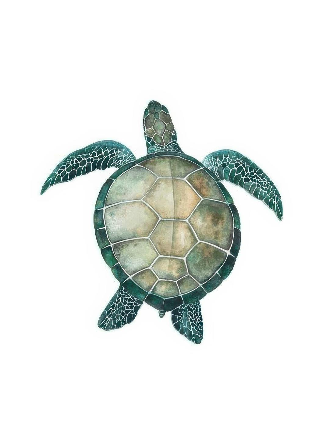 Sea Turtle, Affiche (13x18 cm) - Photographies