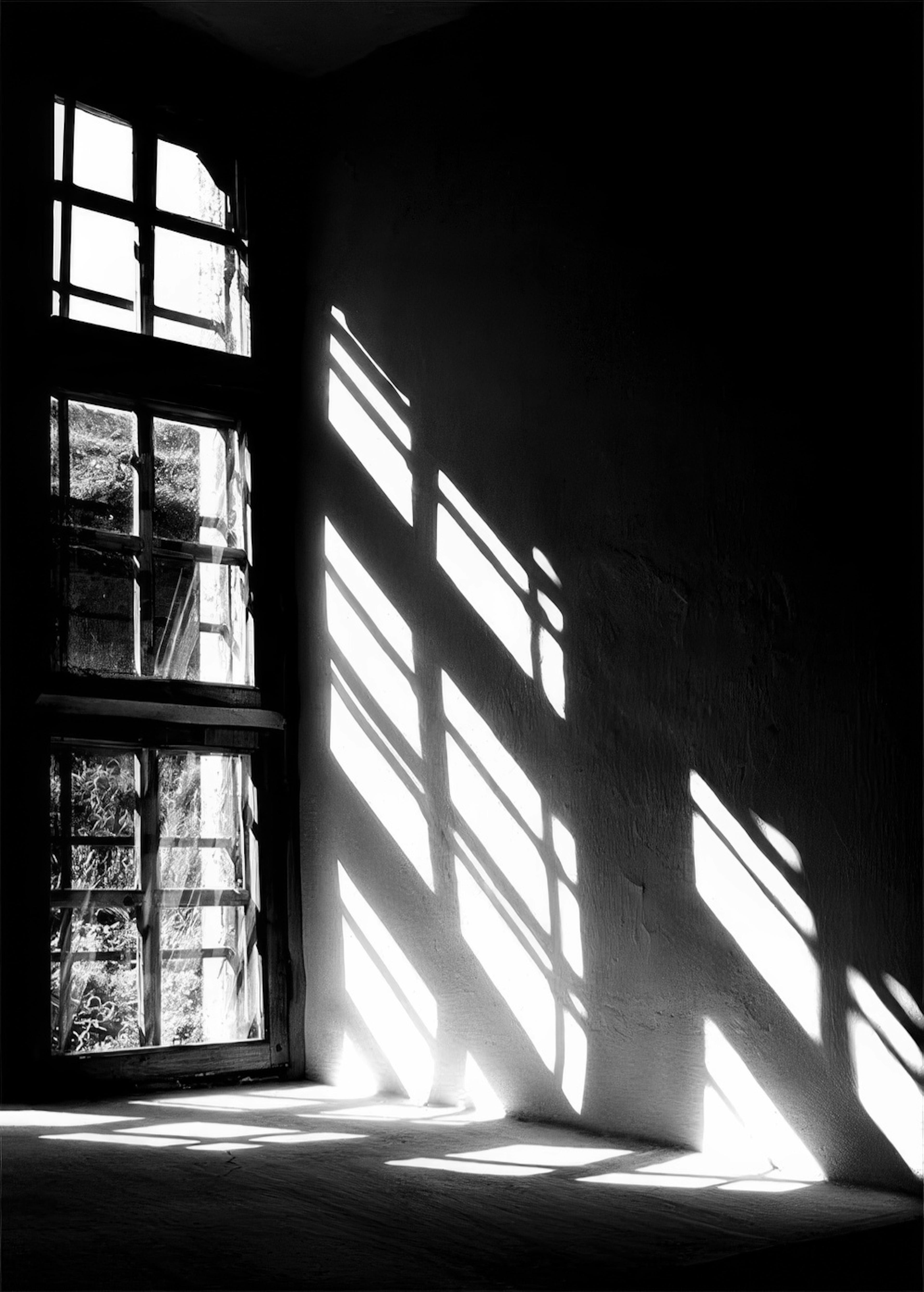 Let The Light In Print 0