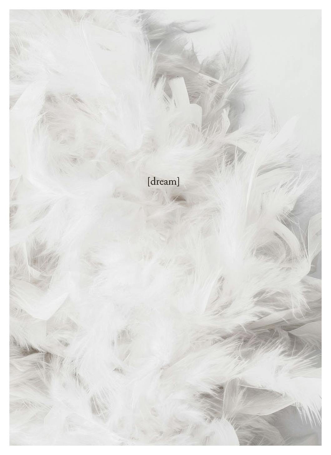 The Dream Poster (40x50 cm)- Arte fotográfica