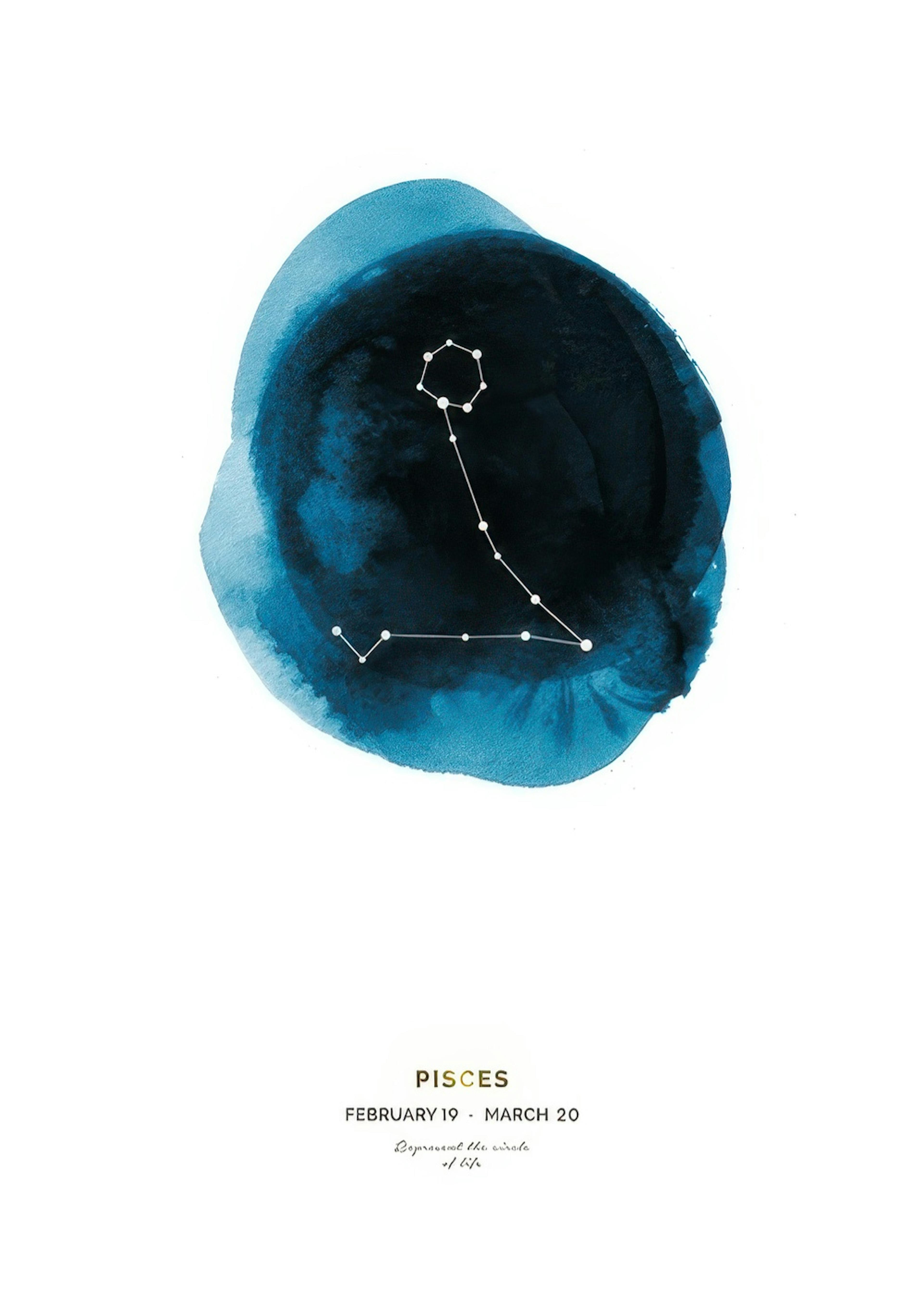 Pisces Poster 0