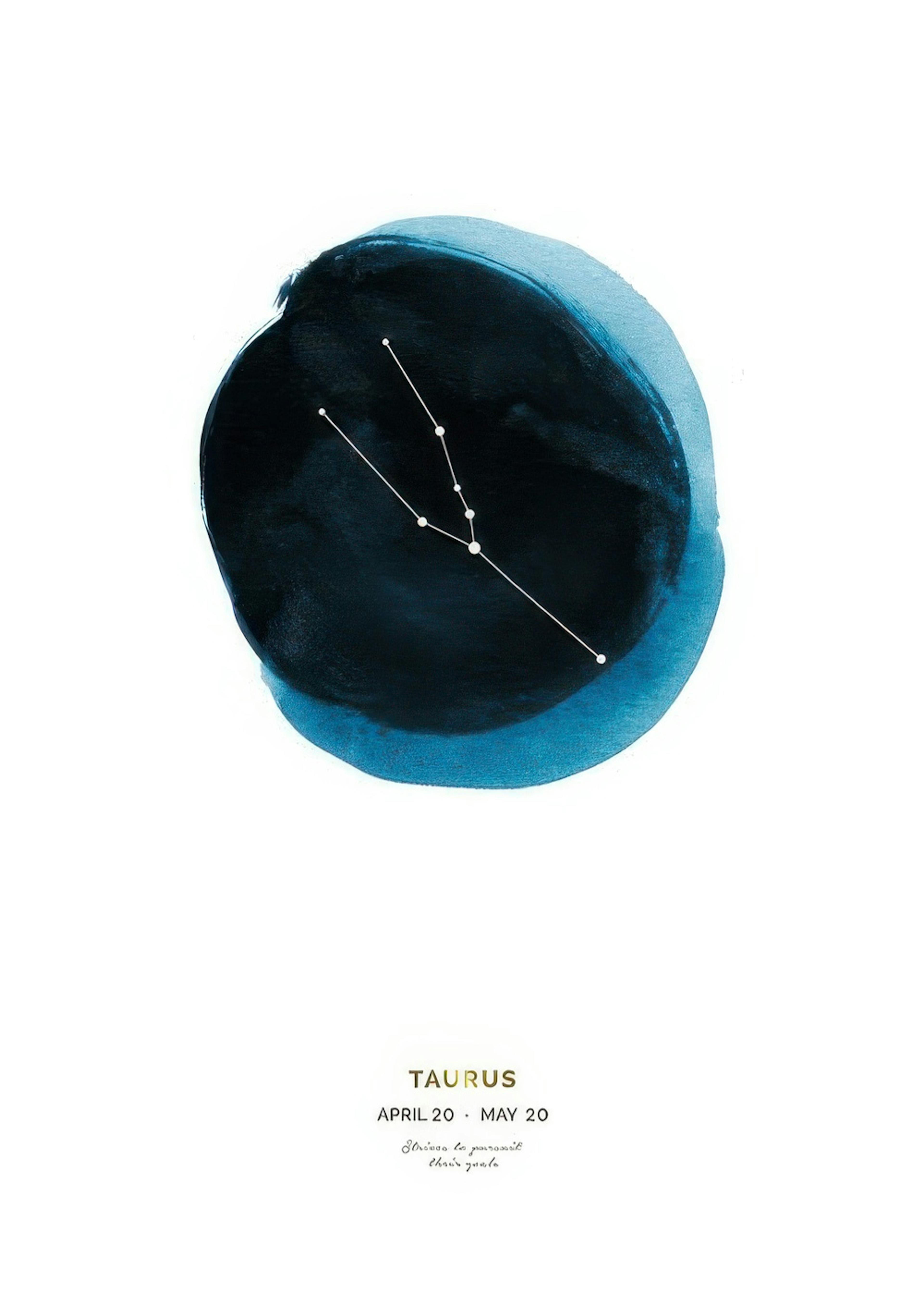 Taurus Poster 0