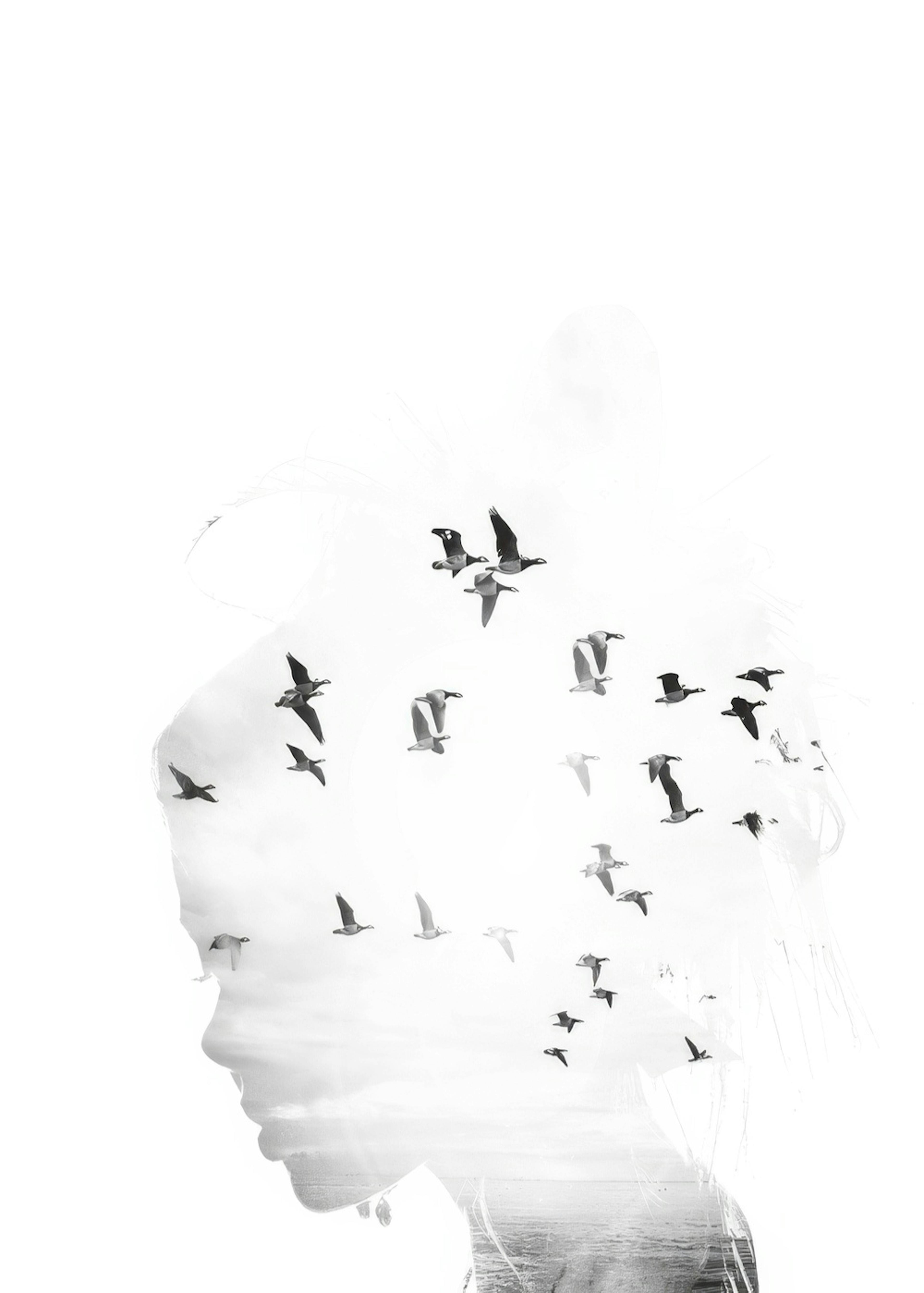 Girl Silhouette Poster 0