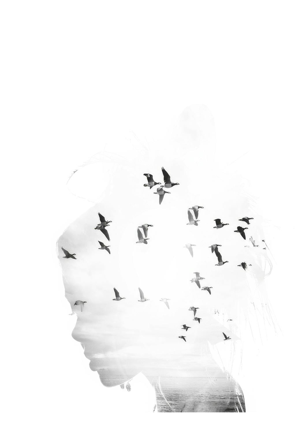 Girl Silhouette Affiche (50x70 cm) - Affiches noir et blanc
