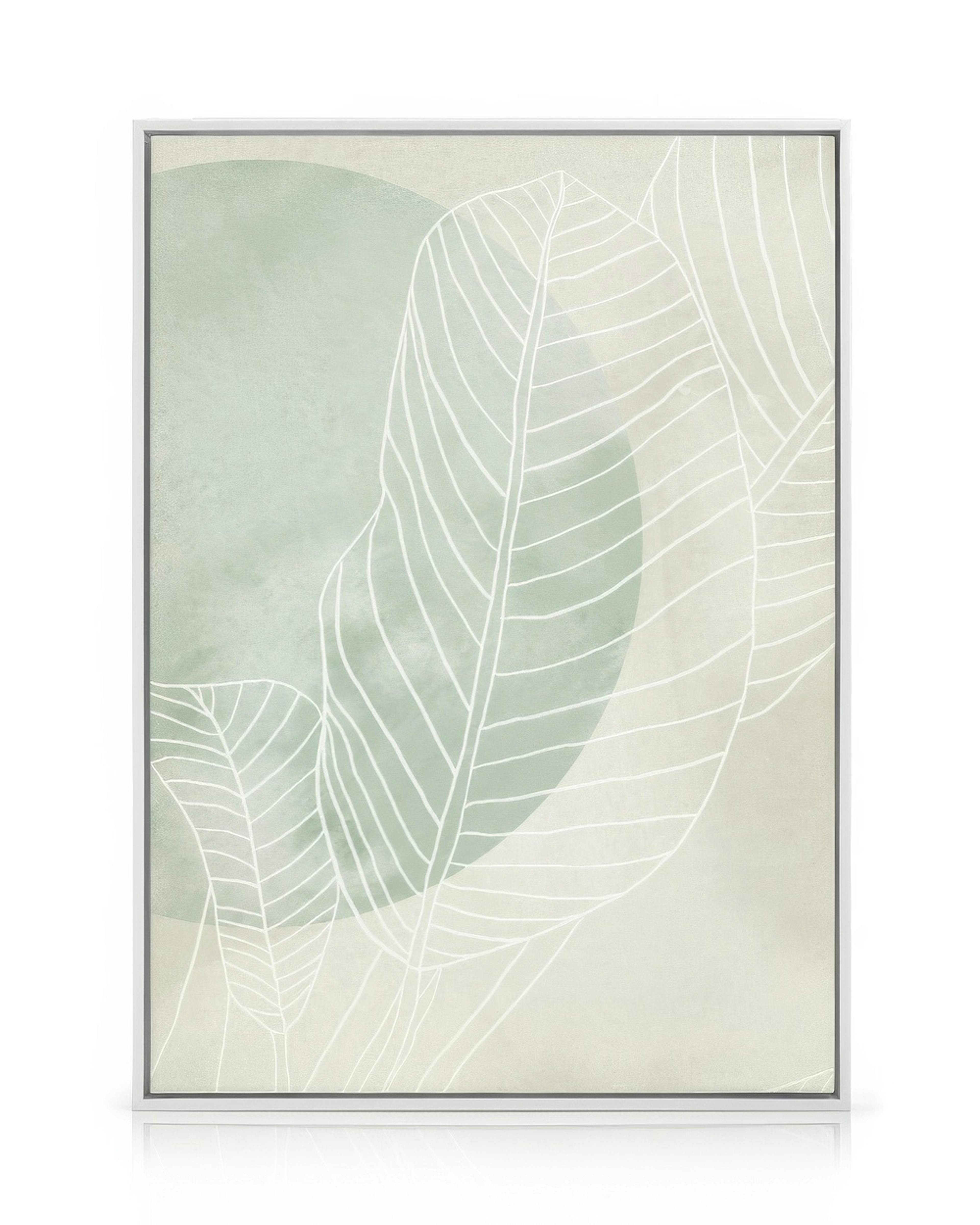 Ficus Line Drawing Obraz na plátne 0