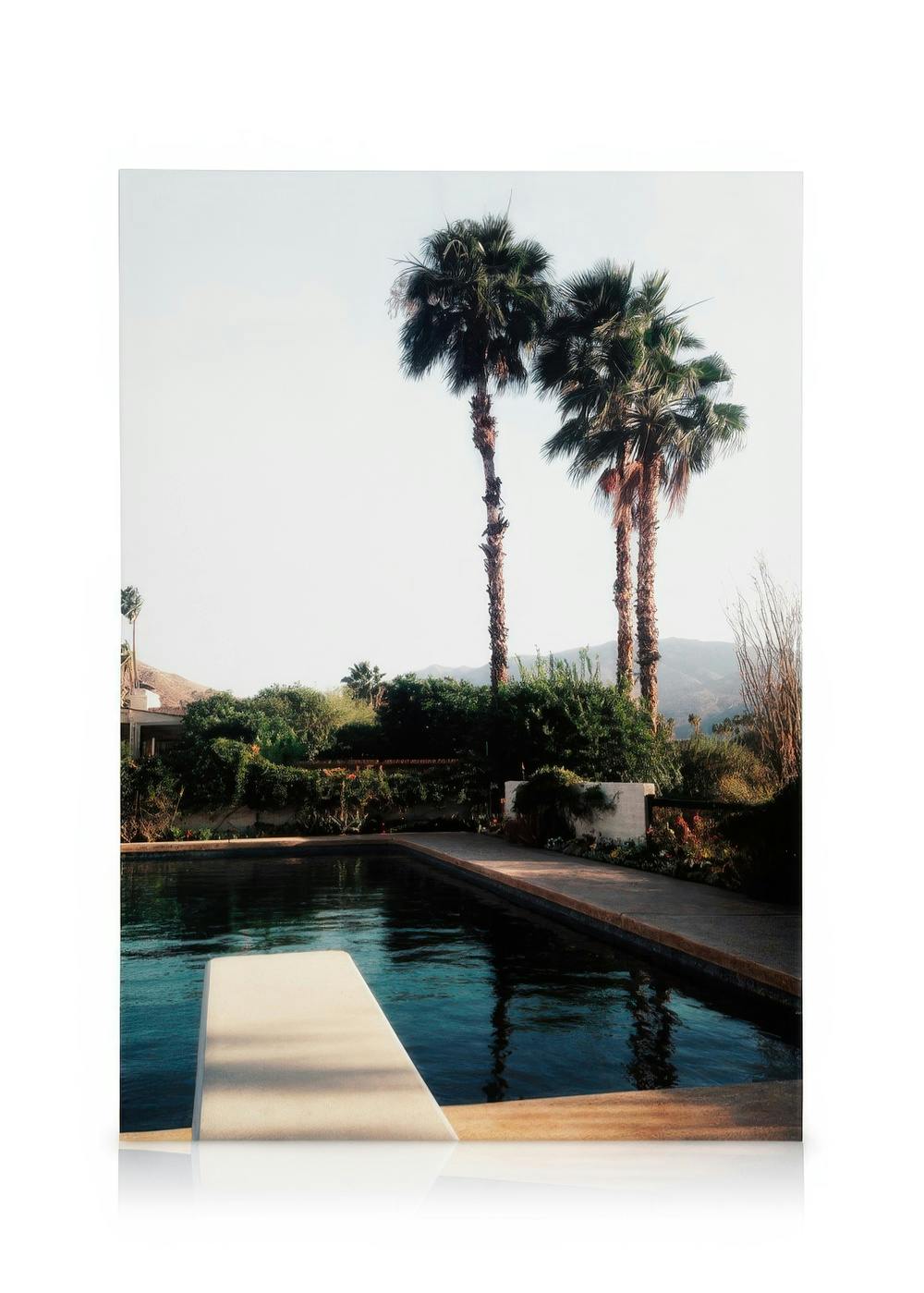 Palm Springs pool with diving board and palm trees under a bright sky, green foliage and distant mountains.