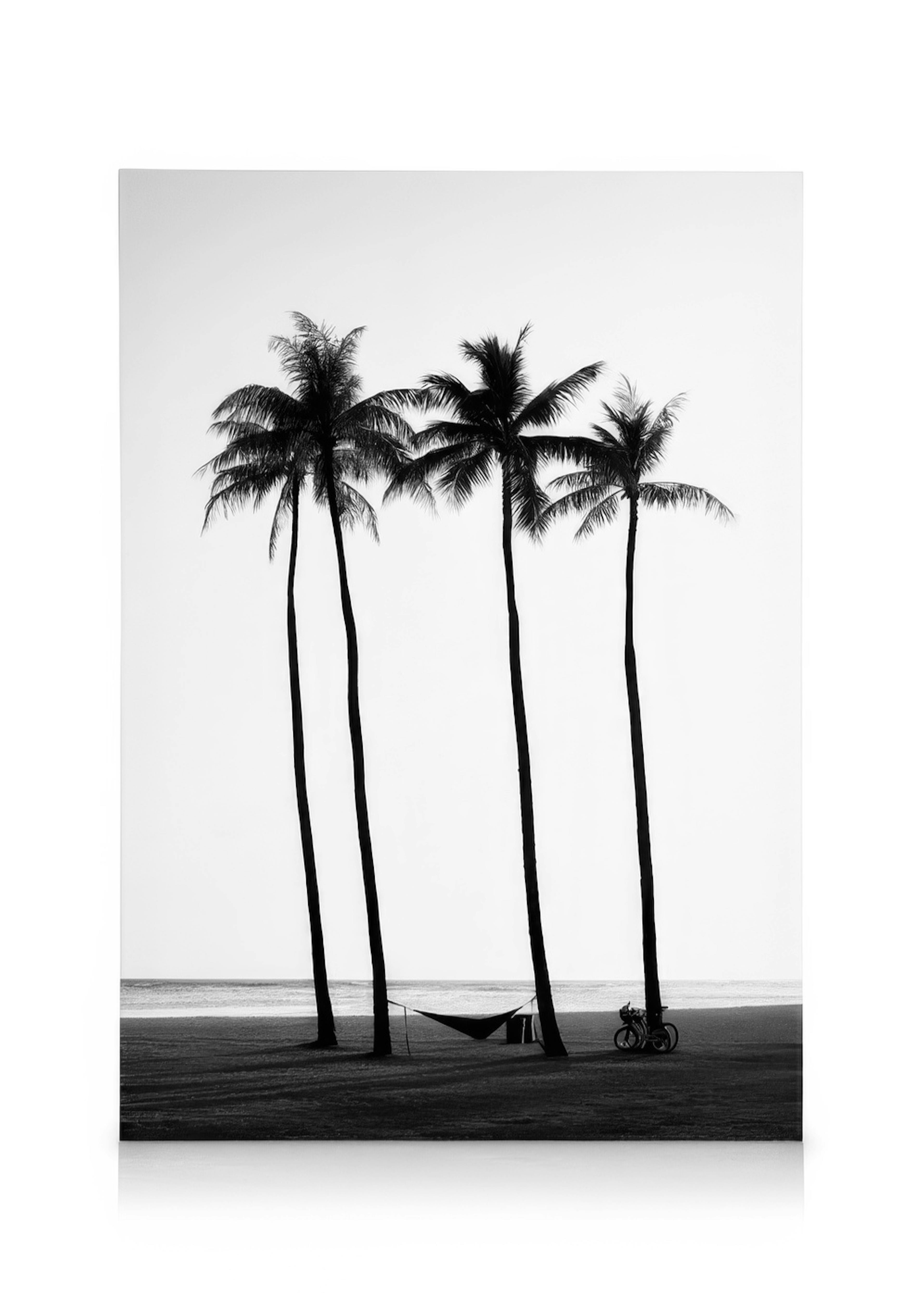 Palm Trees on Beach Kanvaasi 0