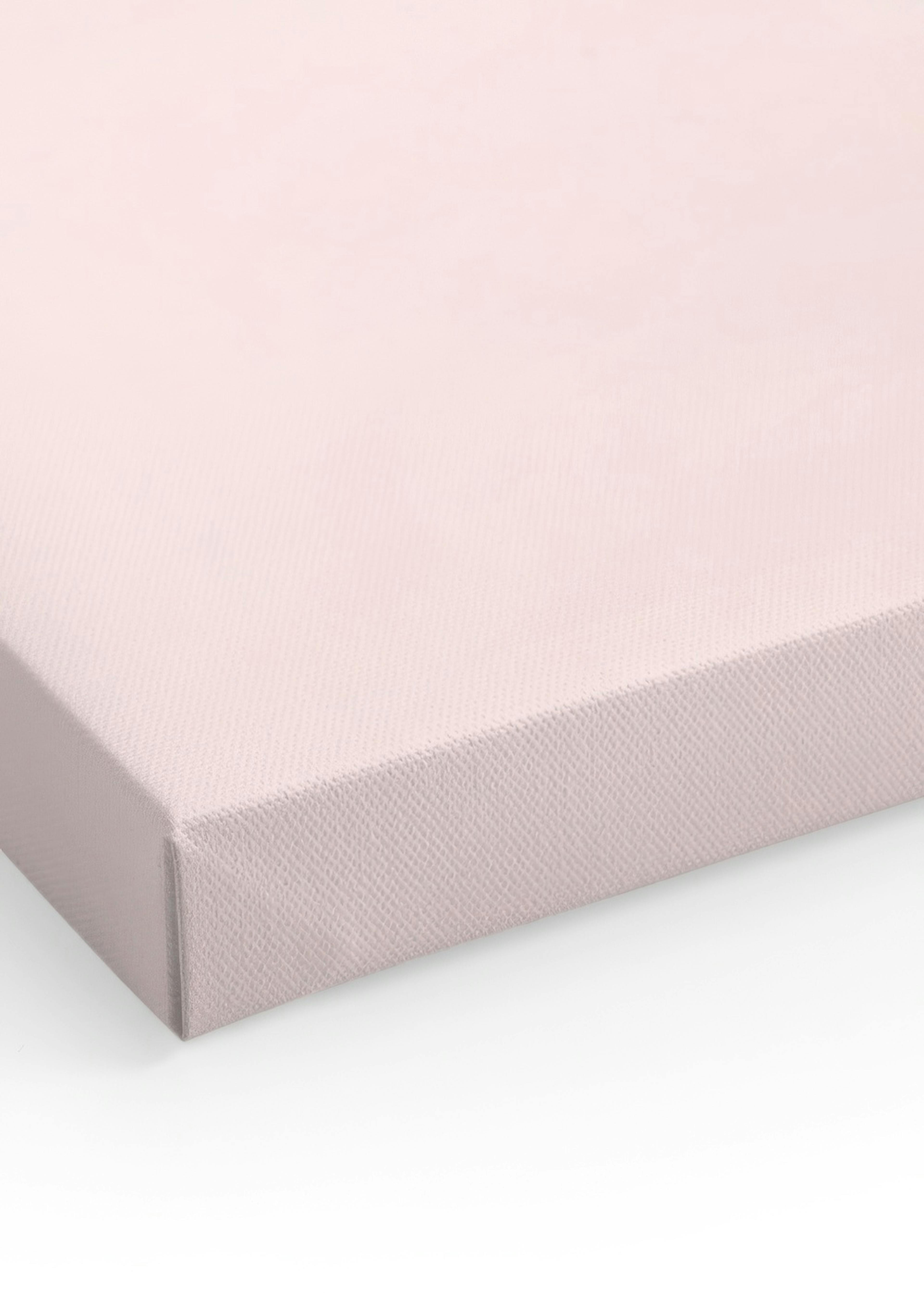 Pink Popsicle Canvas print
