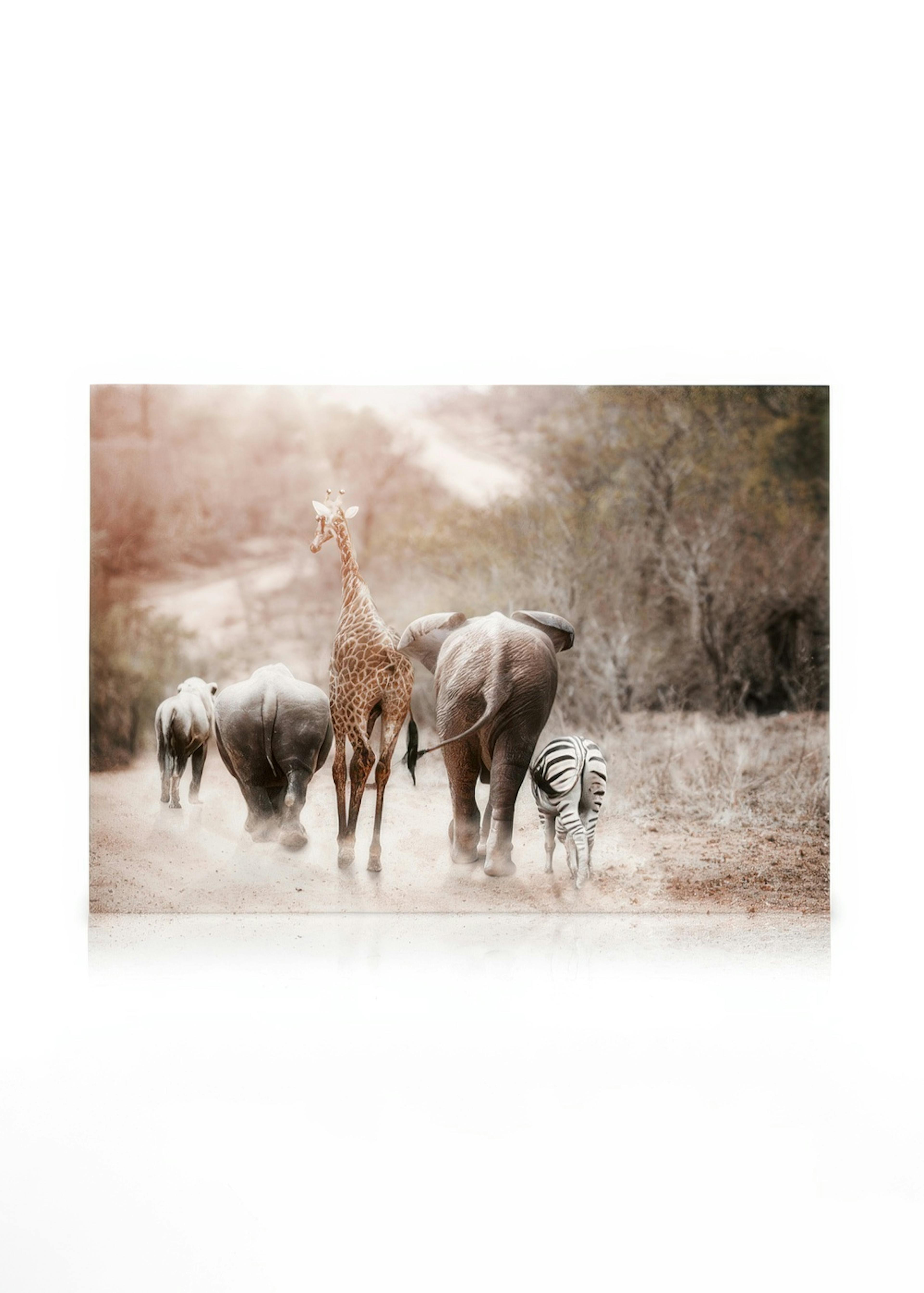 Friendship Canvas print 0