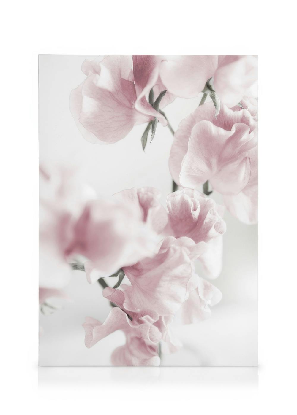 Canvas Prints Summer Dream No1 Canvas print (50x70 cm - Oak Frame)
