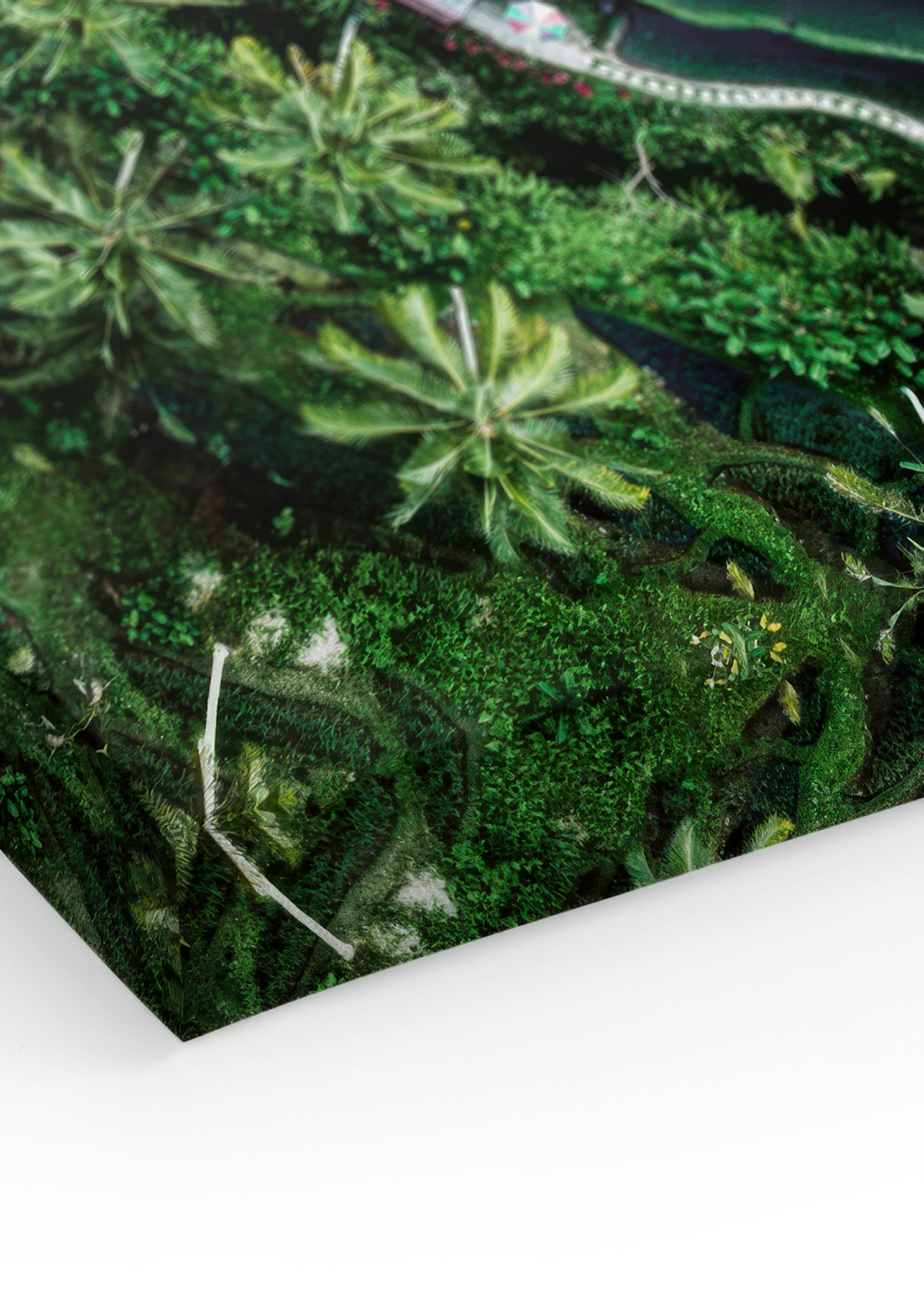 Rice Terraces Canvas
