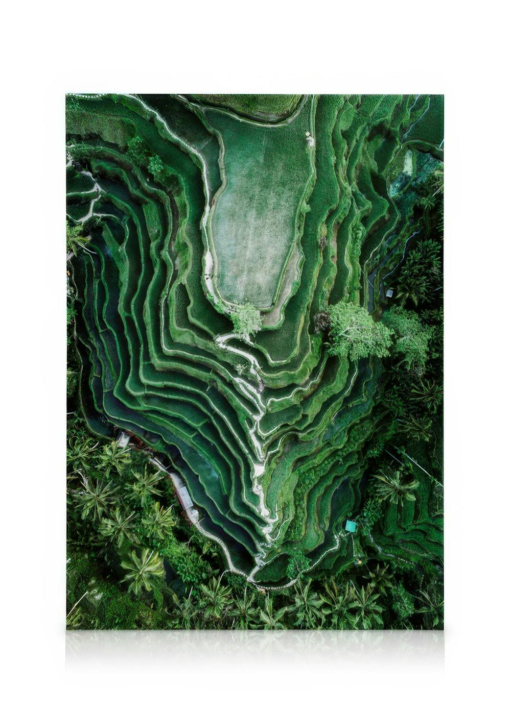 Canvas Schilderijen Rice Terraces Canvas (30x40 cm - Fotolijst Eiken)