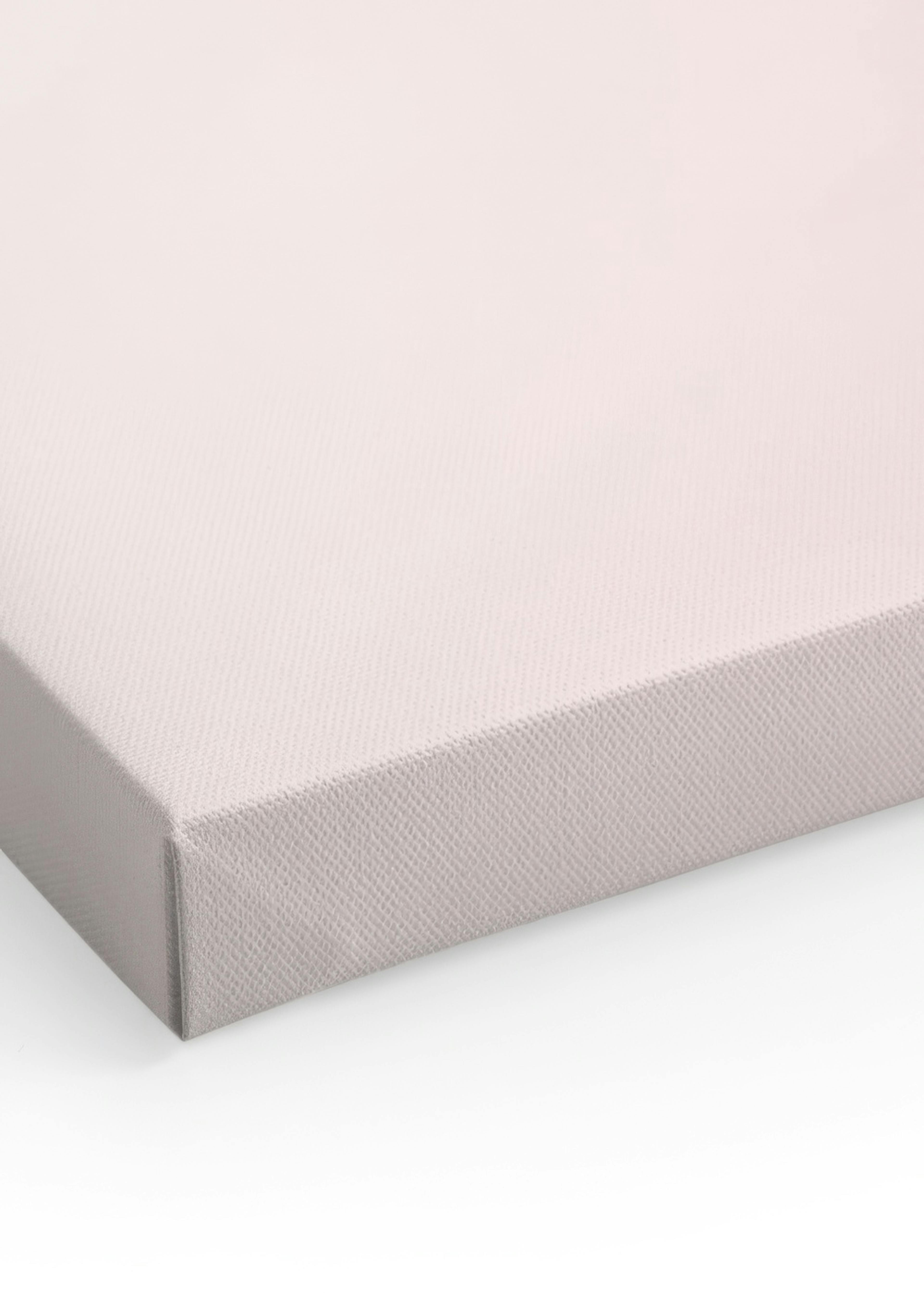 Pastel Pink Palm Canvas print