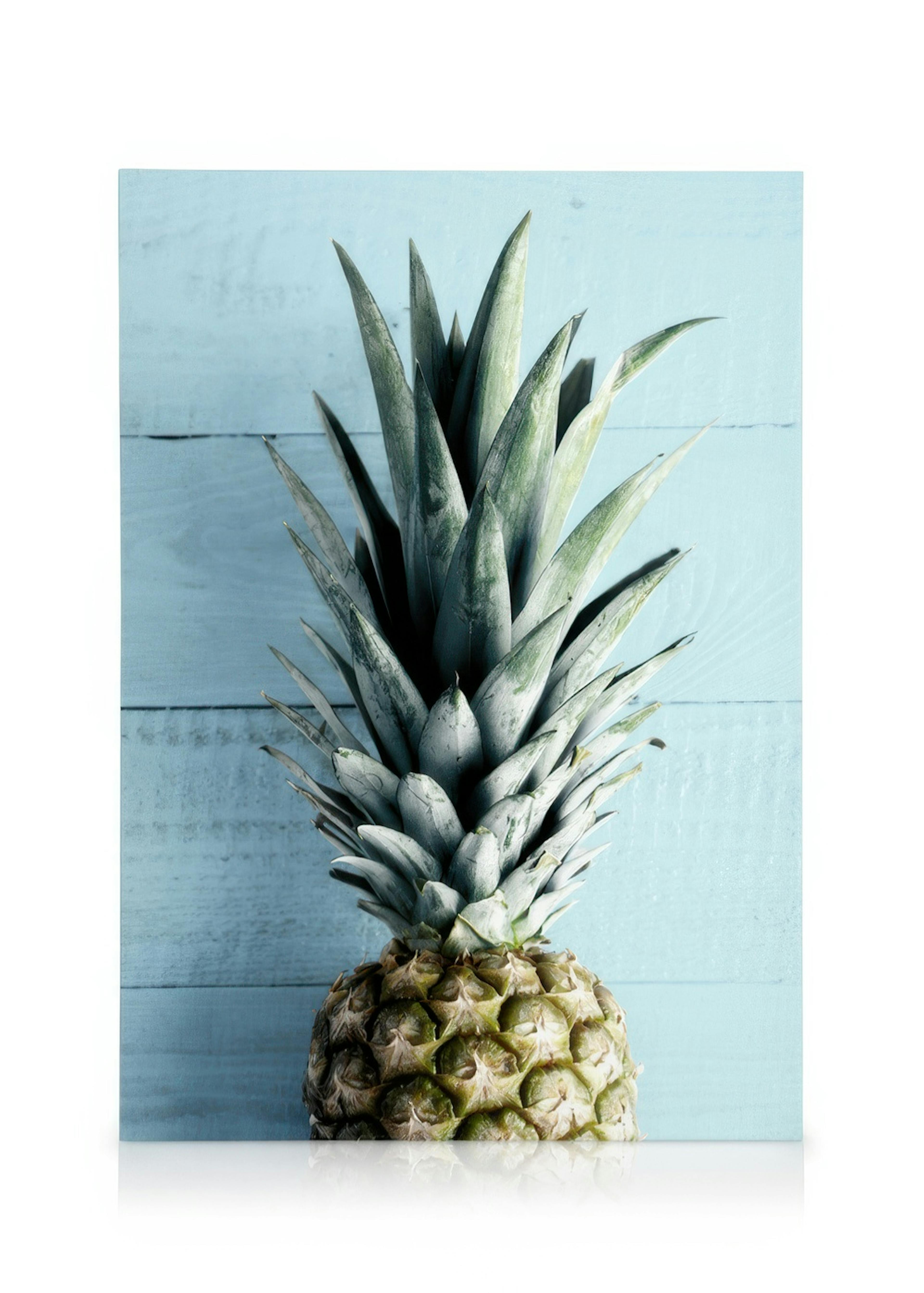 Pineapple Top Quadro em tela 0