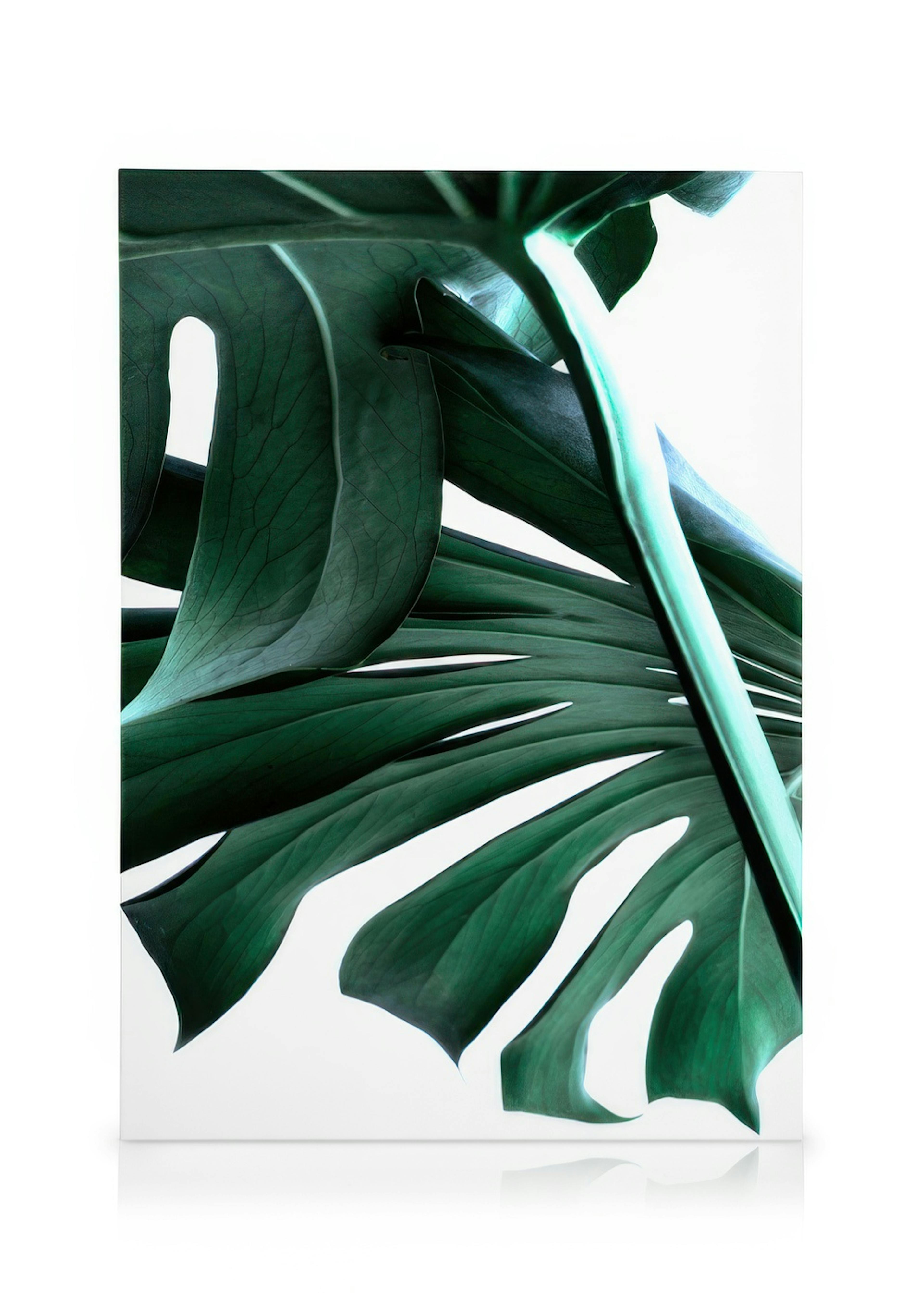 Stampa su tela di foglie di monstera verde intenso, appesa sopra una panca in legno in un soggiorno moderno.