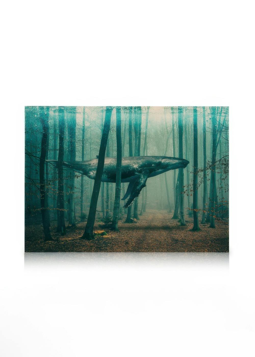 Canvastavlor Whale in Forest Canvastavla (50x70 cm - Svart ram)