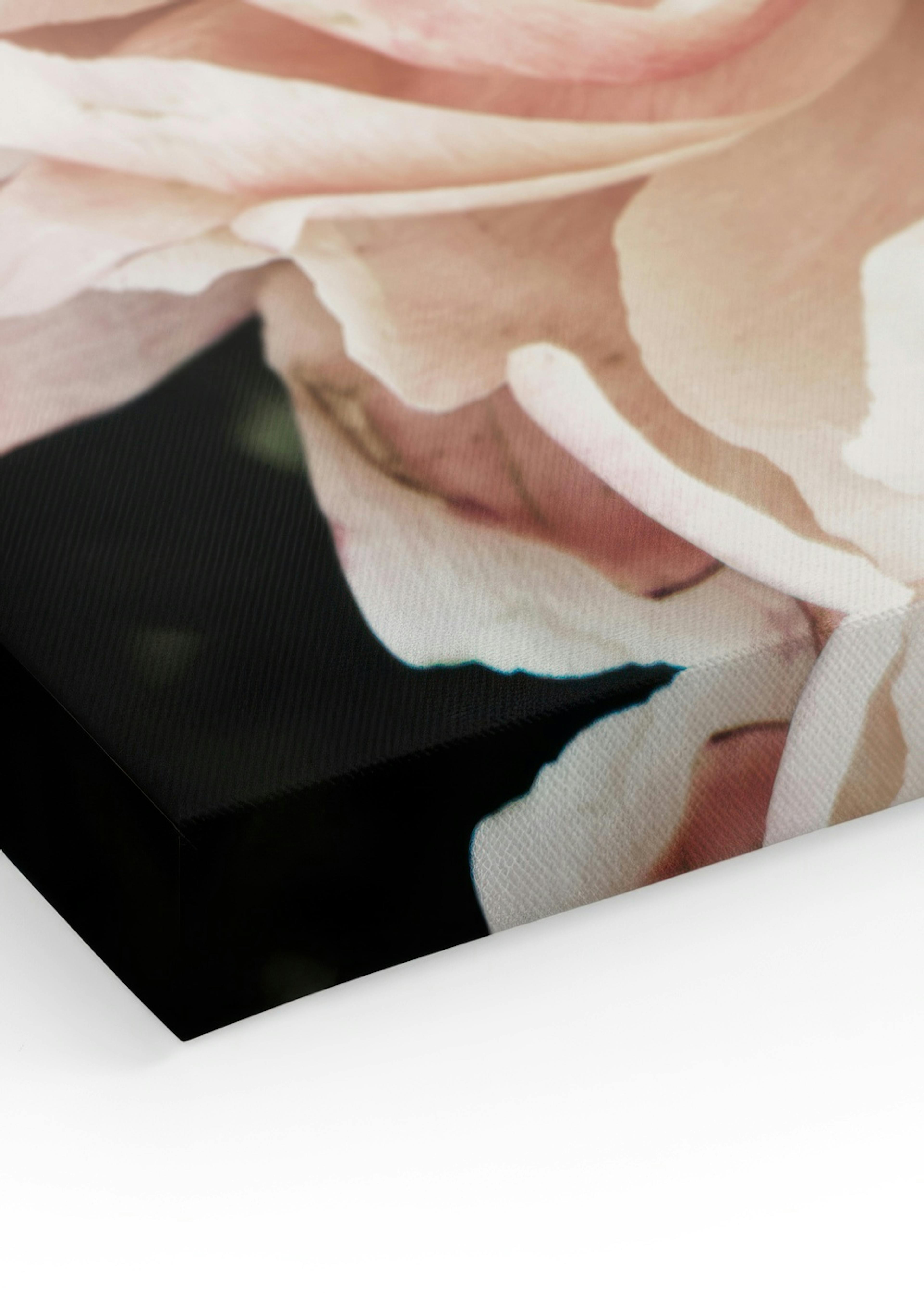 Product image: 3