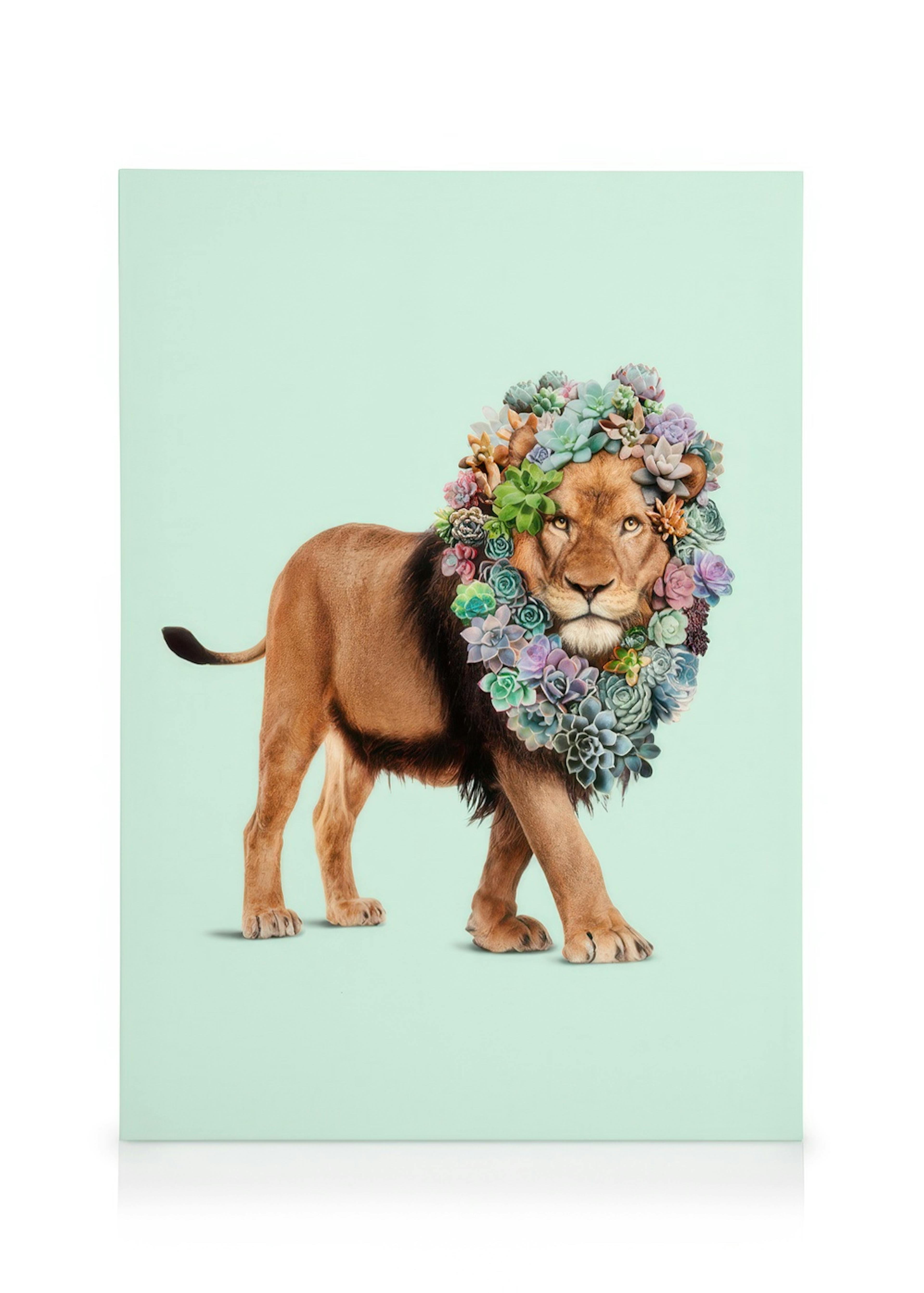 Jonas Loose - Succulent Lion Tableau sur toile 0