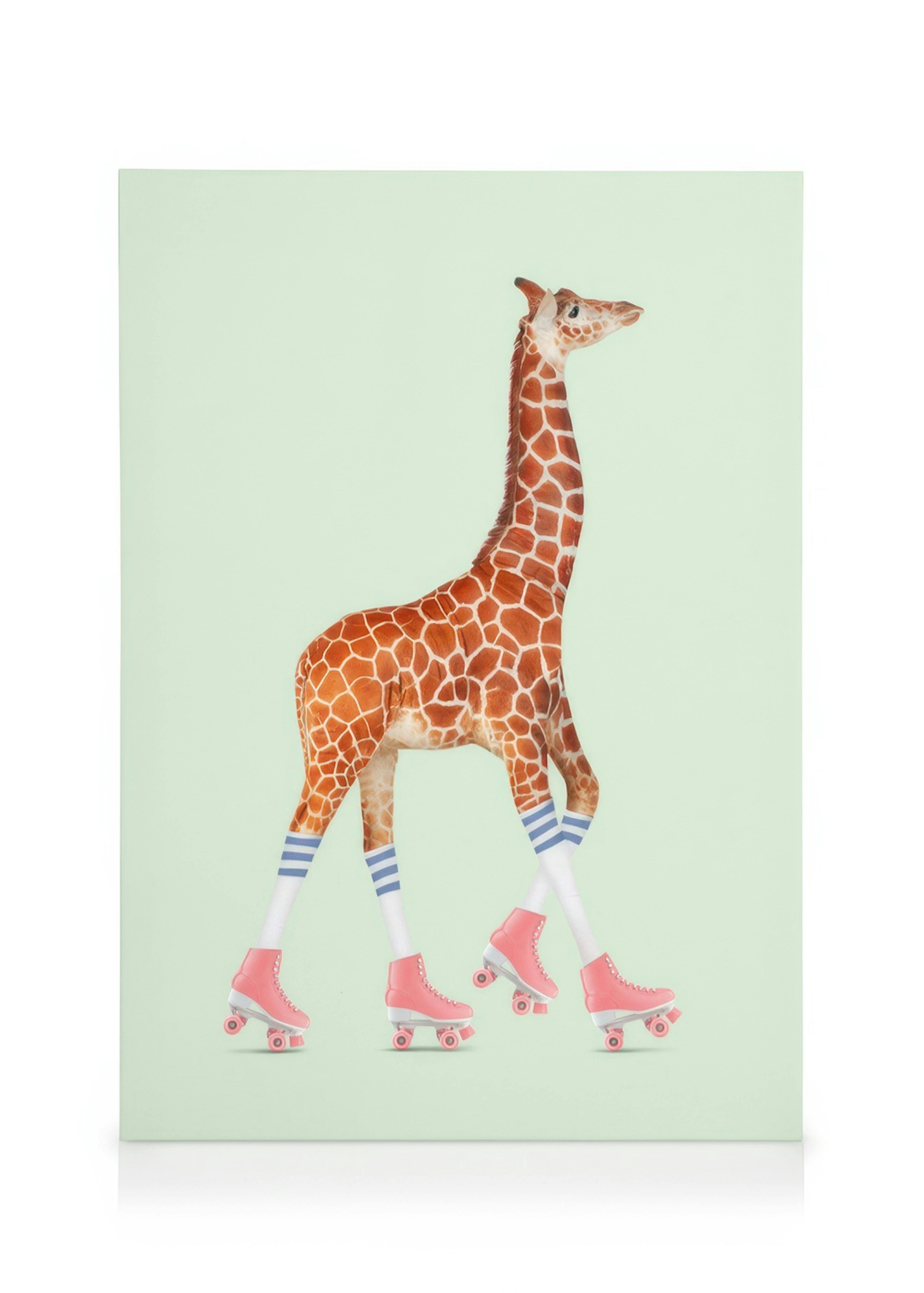 Jonas Loose - Rollerskating Giraffe Toile 0