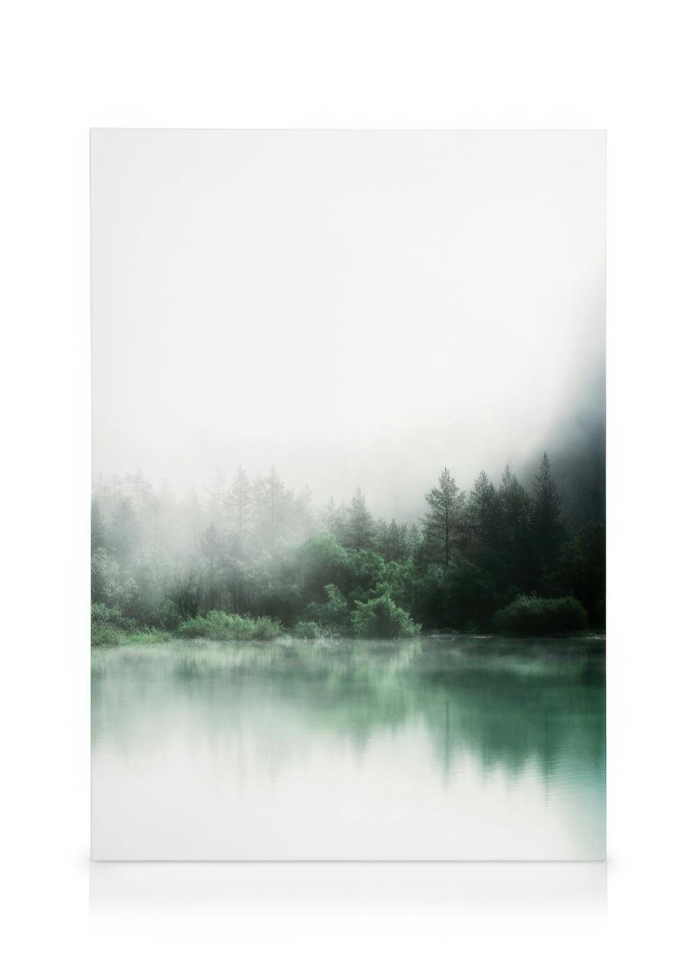 Canvas Prints Forest Reflections Canvas print (30x40 cm - Oak Frame)