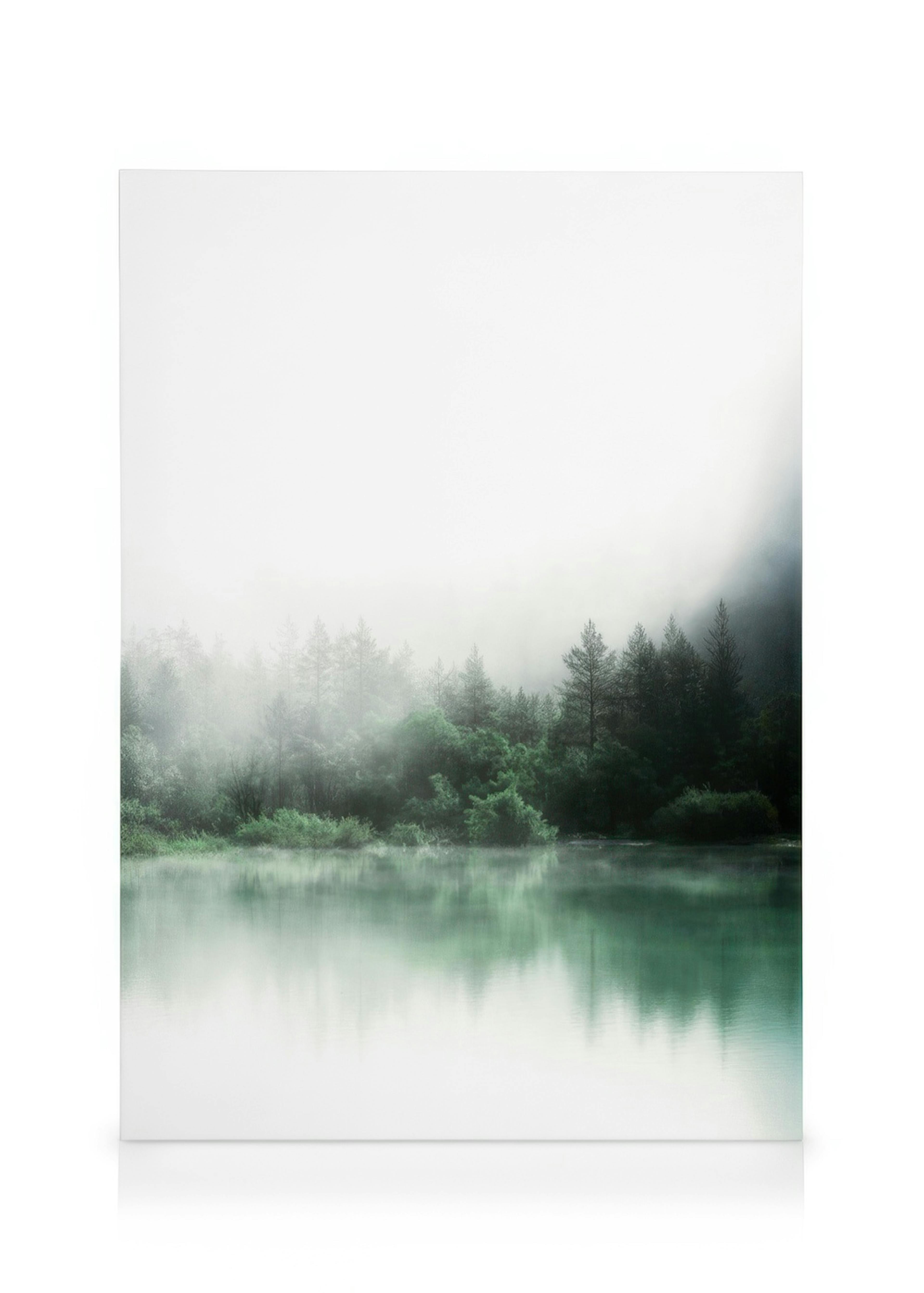 Forest Reflections Lienzo 0