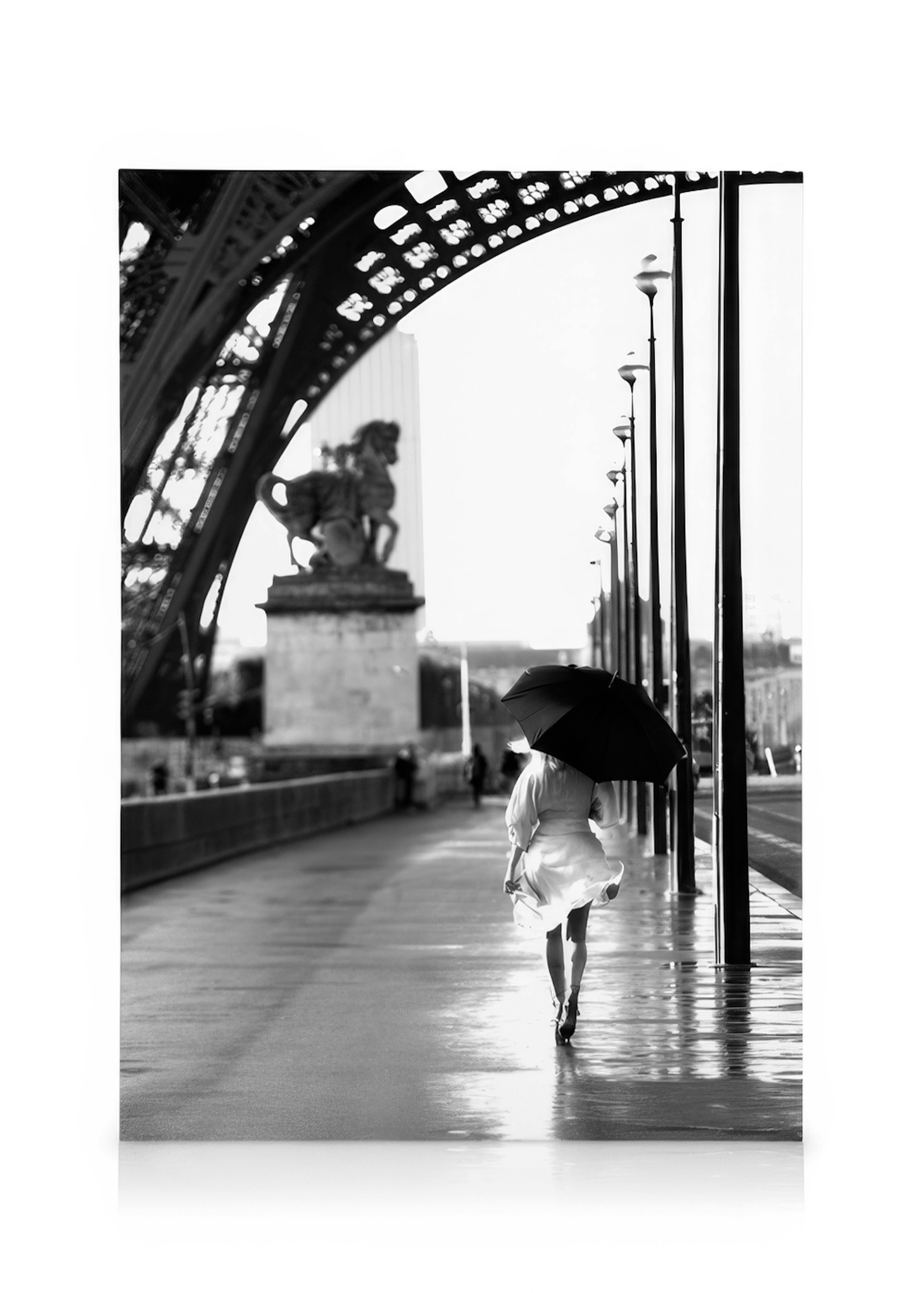 Walking in Paris Kanvaasi 0