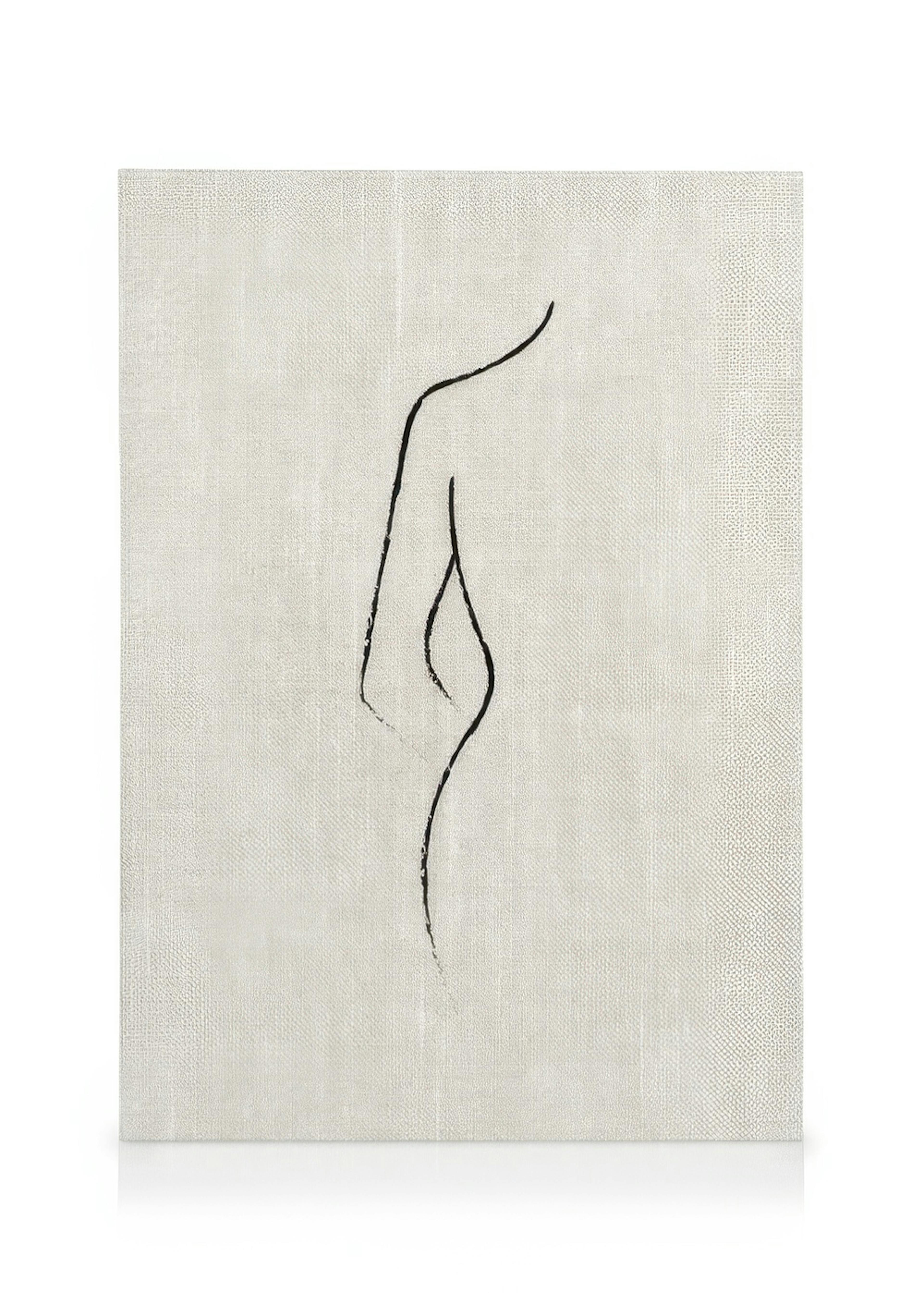 Texture Line Curve Lienzo 0