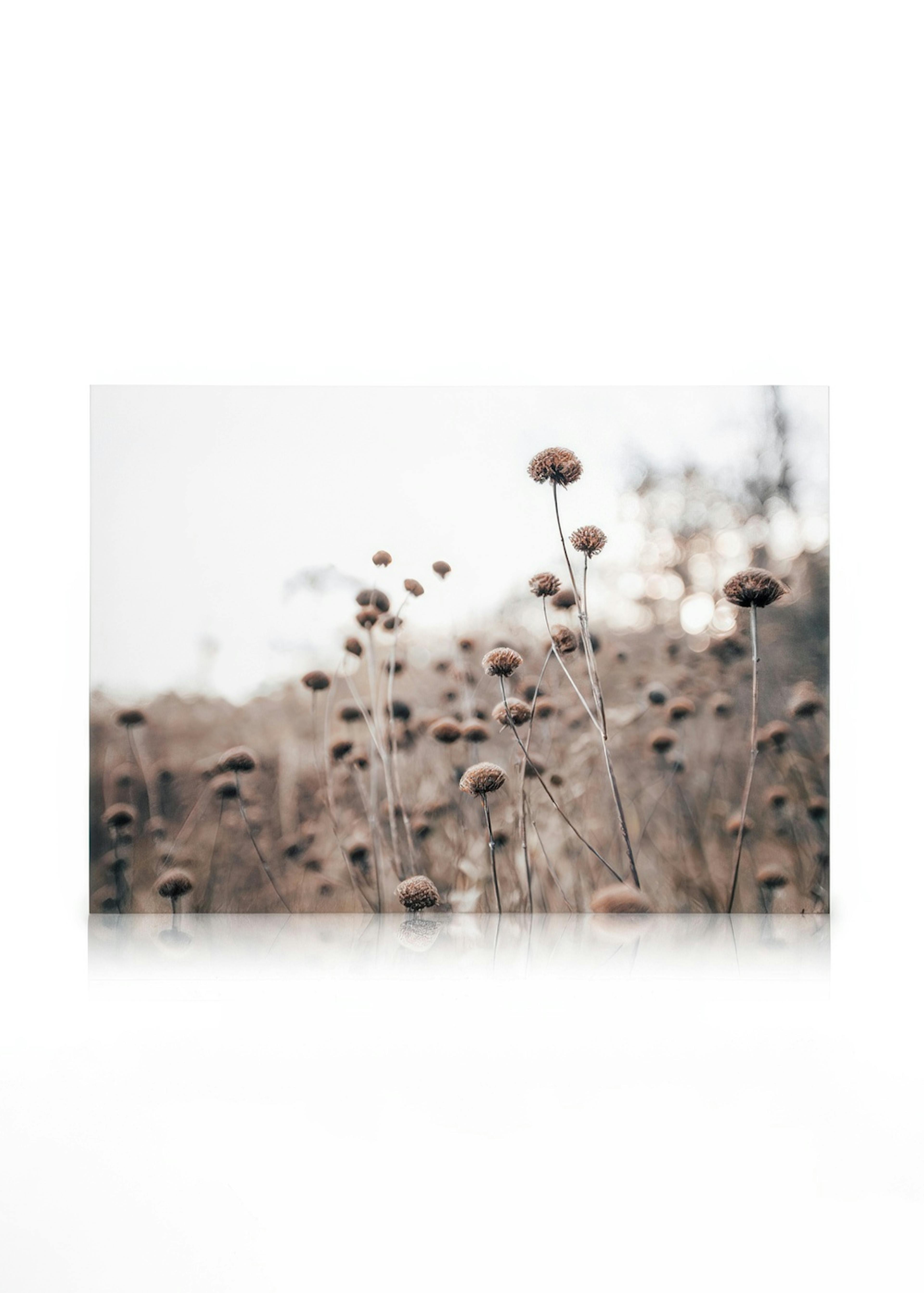 Monochrome Flowers Stampa su Tela 0