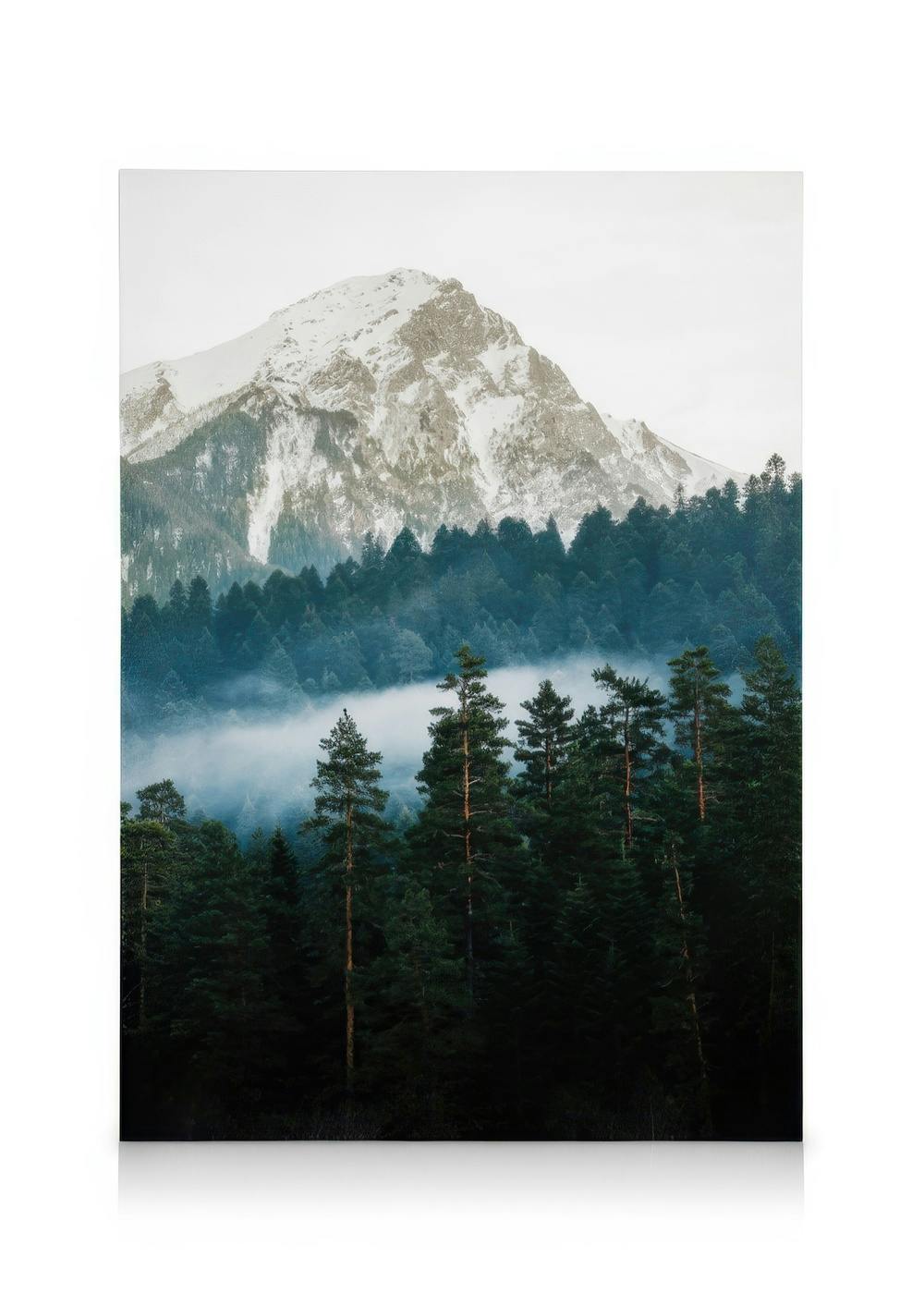 Quadro em tela com floresta de pinheiros e montanha nevada sob céu enevoado, paisagem natural.