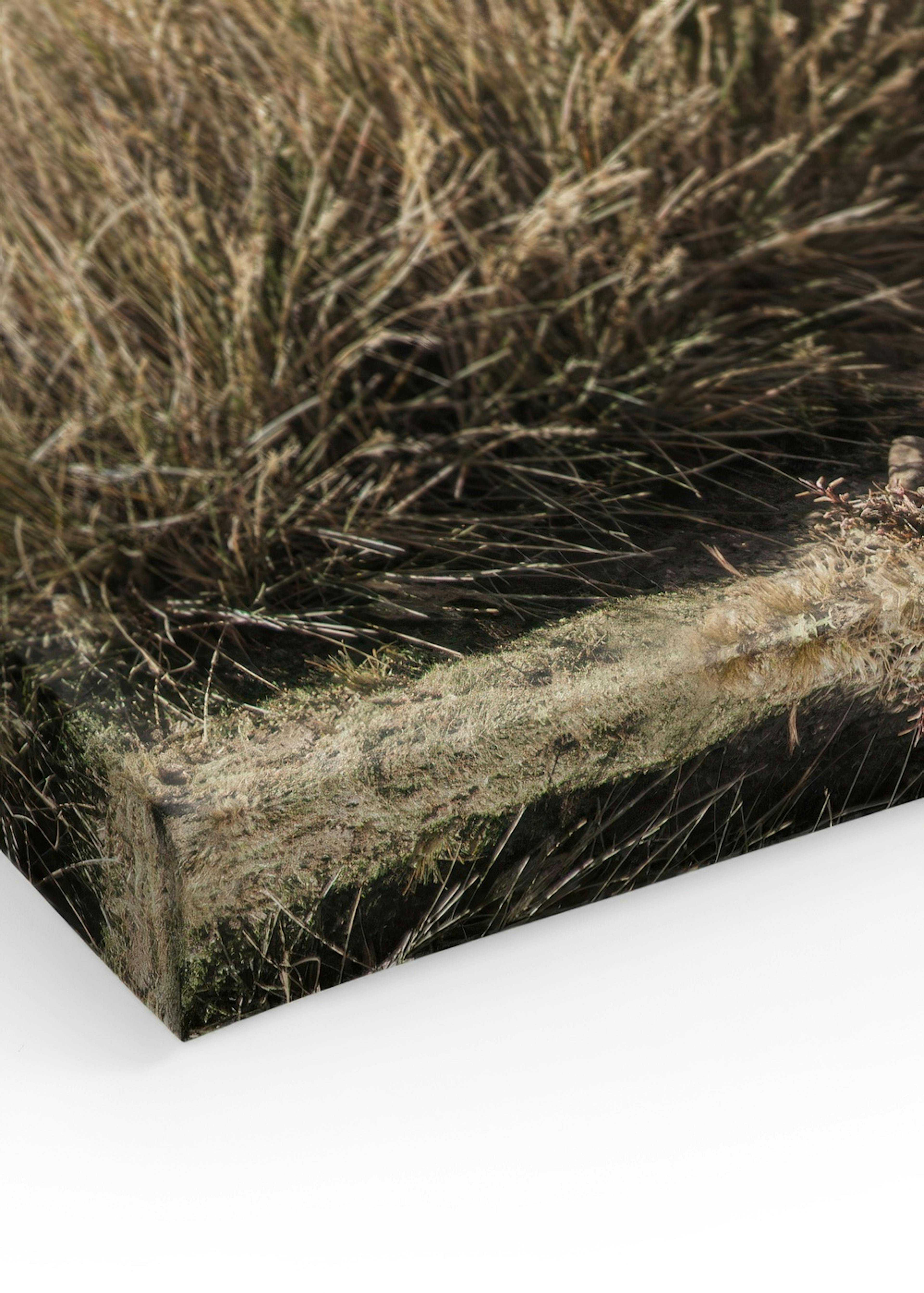 Product image: 3