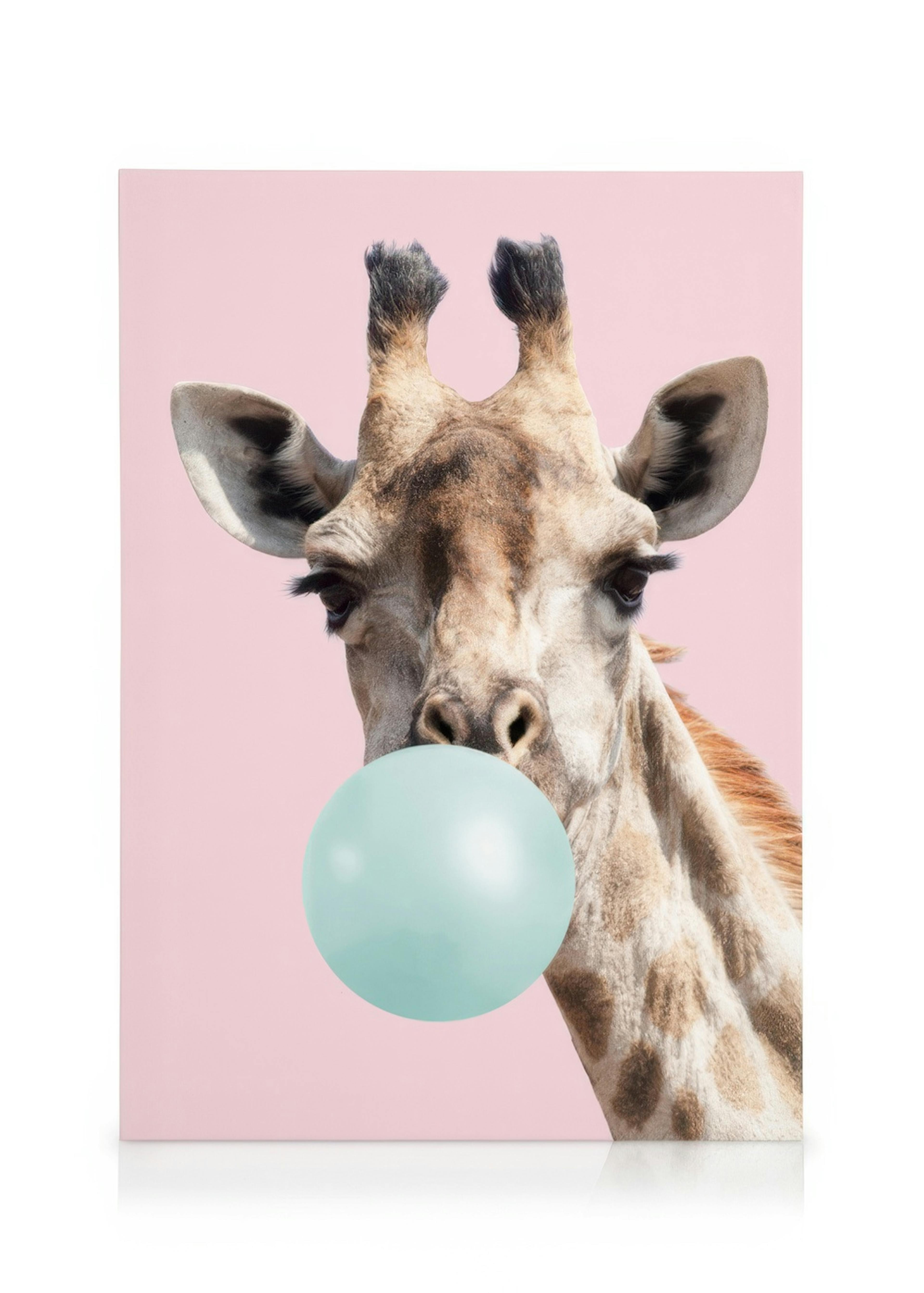 Bubblegum Giraffe Lienzo 0