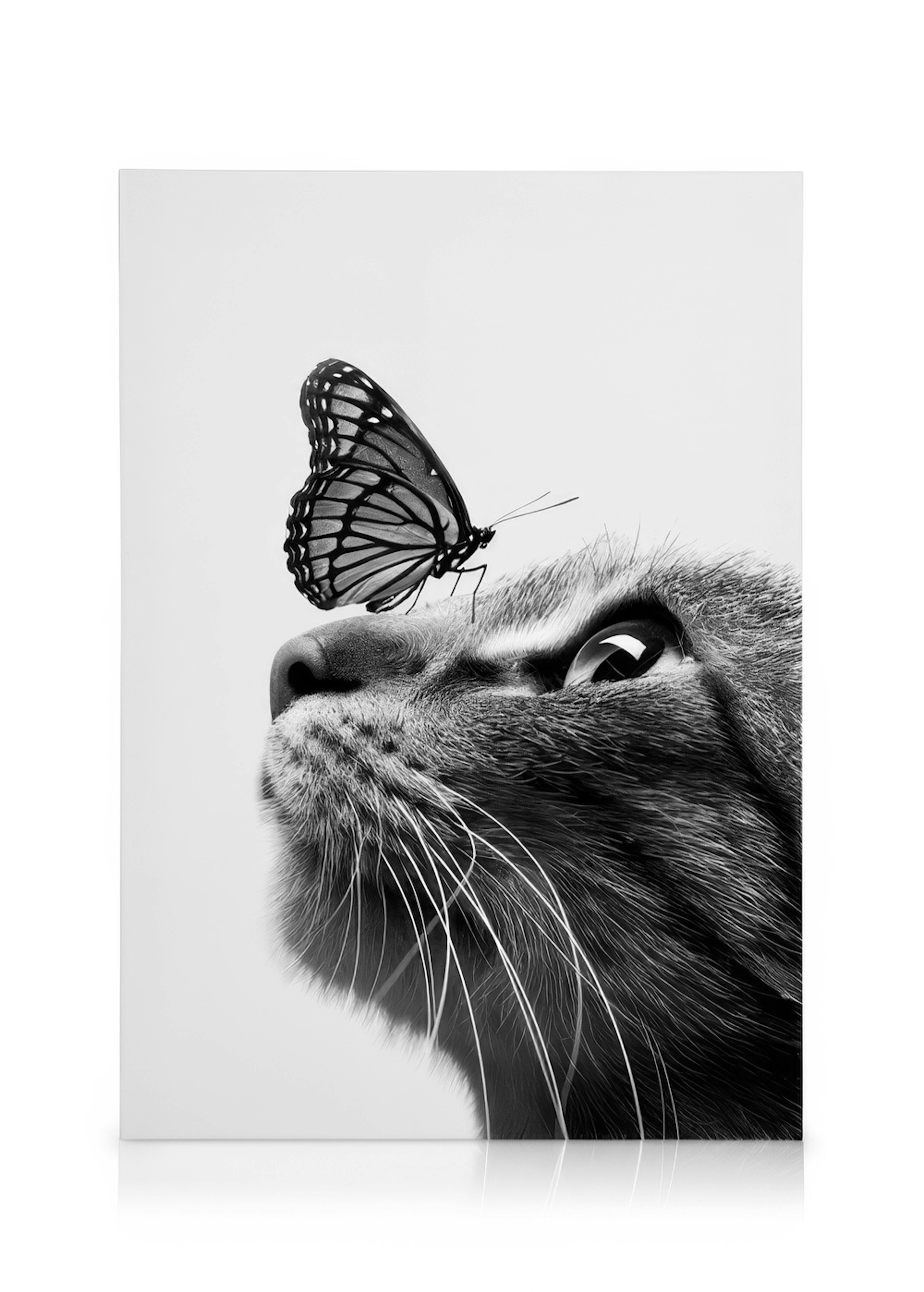 Butterfly Cat Kanvaasi 0