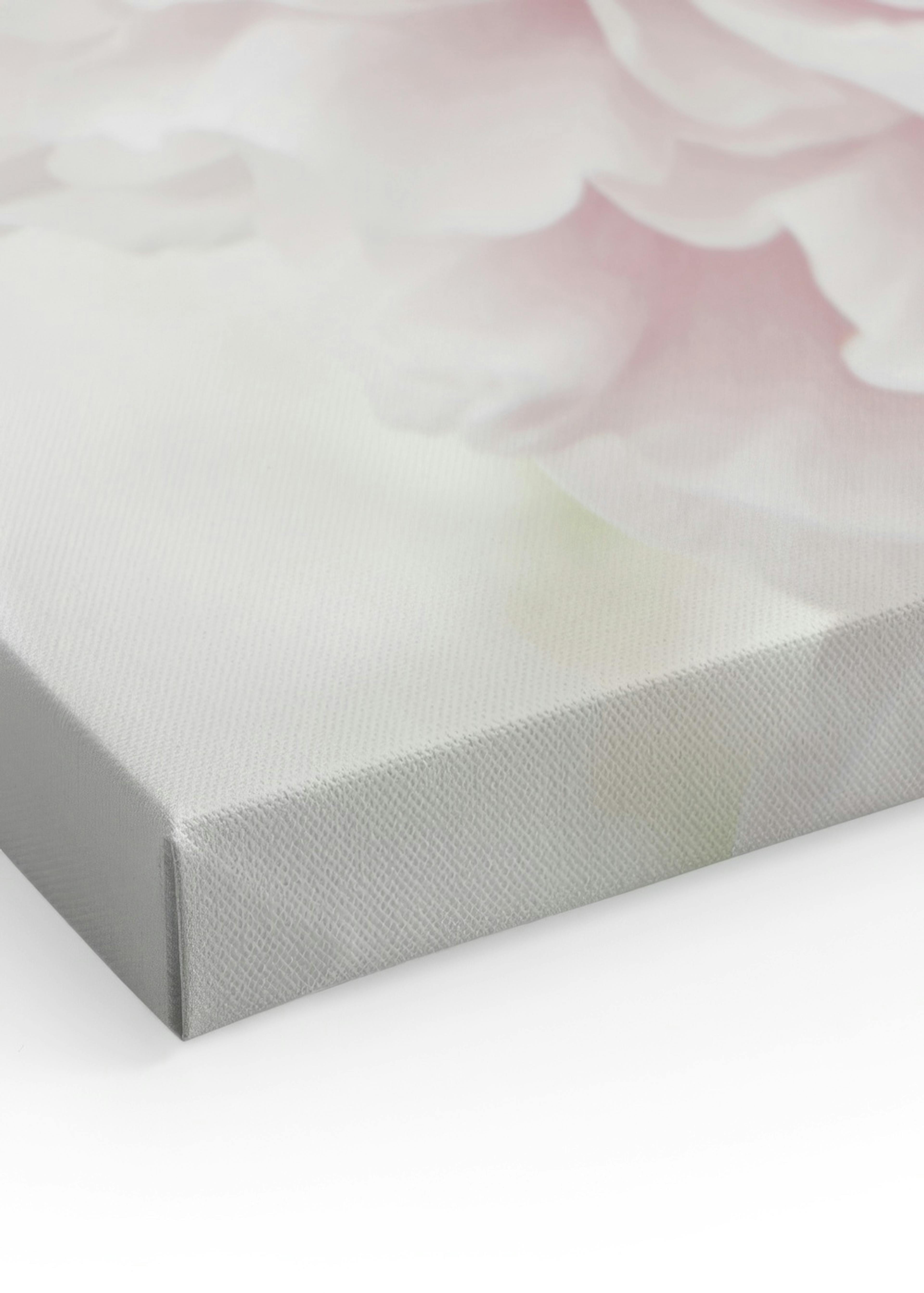 Peonies and Roses Canvas