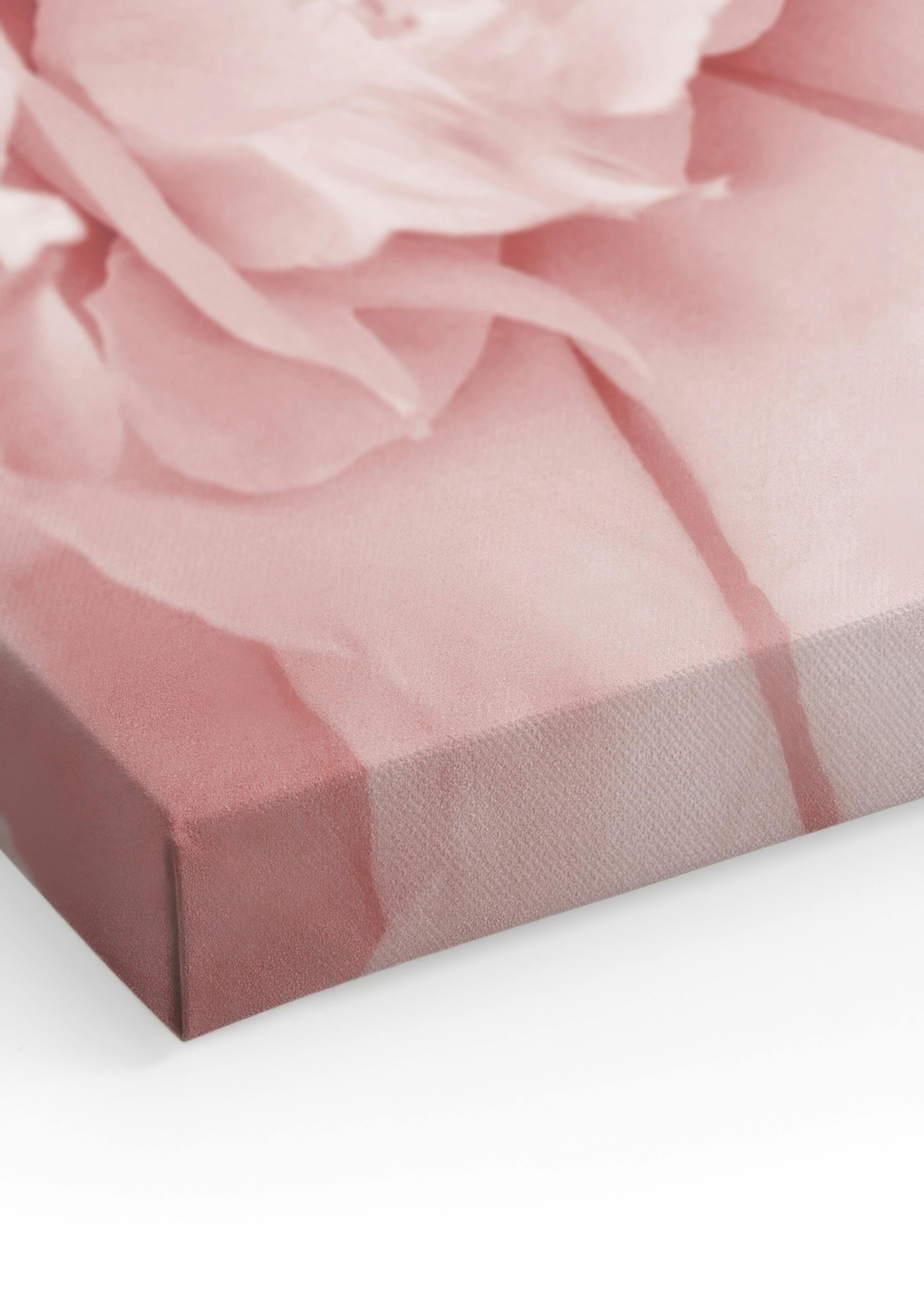 Close Up Pink Roses Canvas print